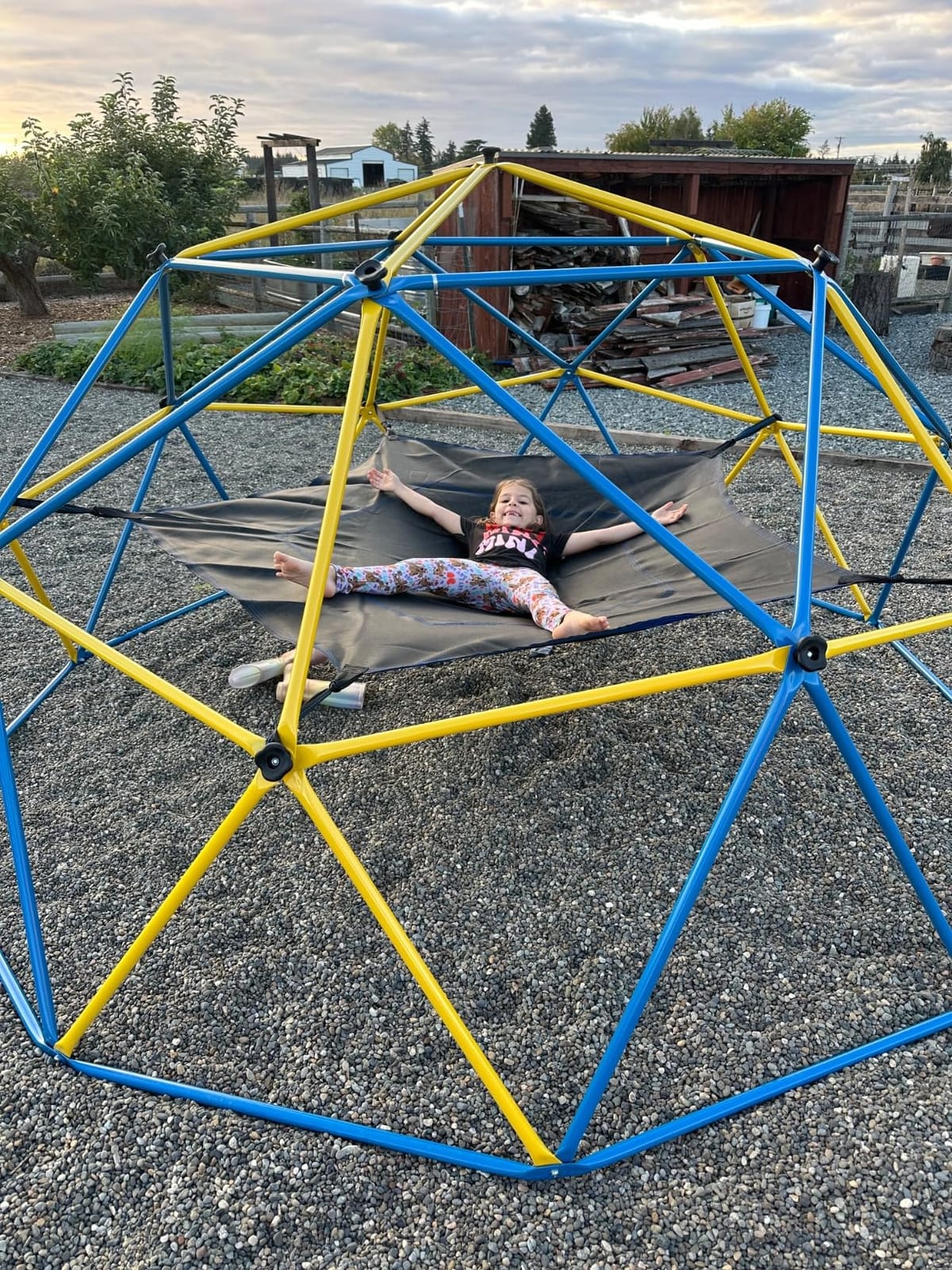 Hapfan 10 ft Climbing Dome Jungle Gym with Hammock for Kids Outdoor customer photo 2