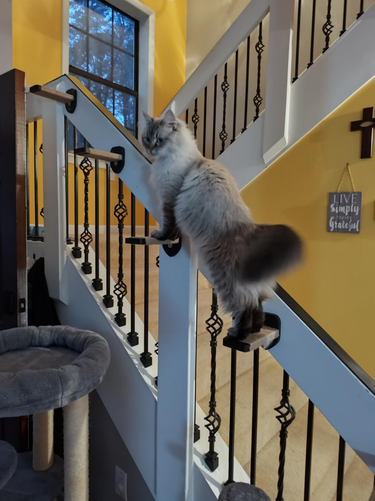 3-in-1 Cat Climbing Wall Steps with Hemp Rope, Shelves and Perches, Scratching Pads for Cats Playing and Climbing (Wood) customer photo 1