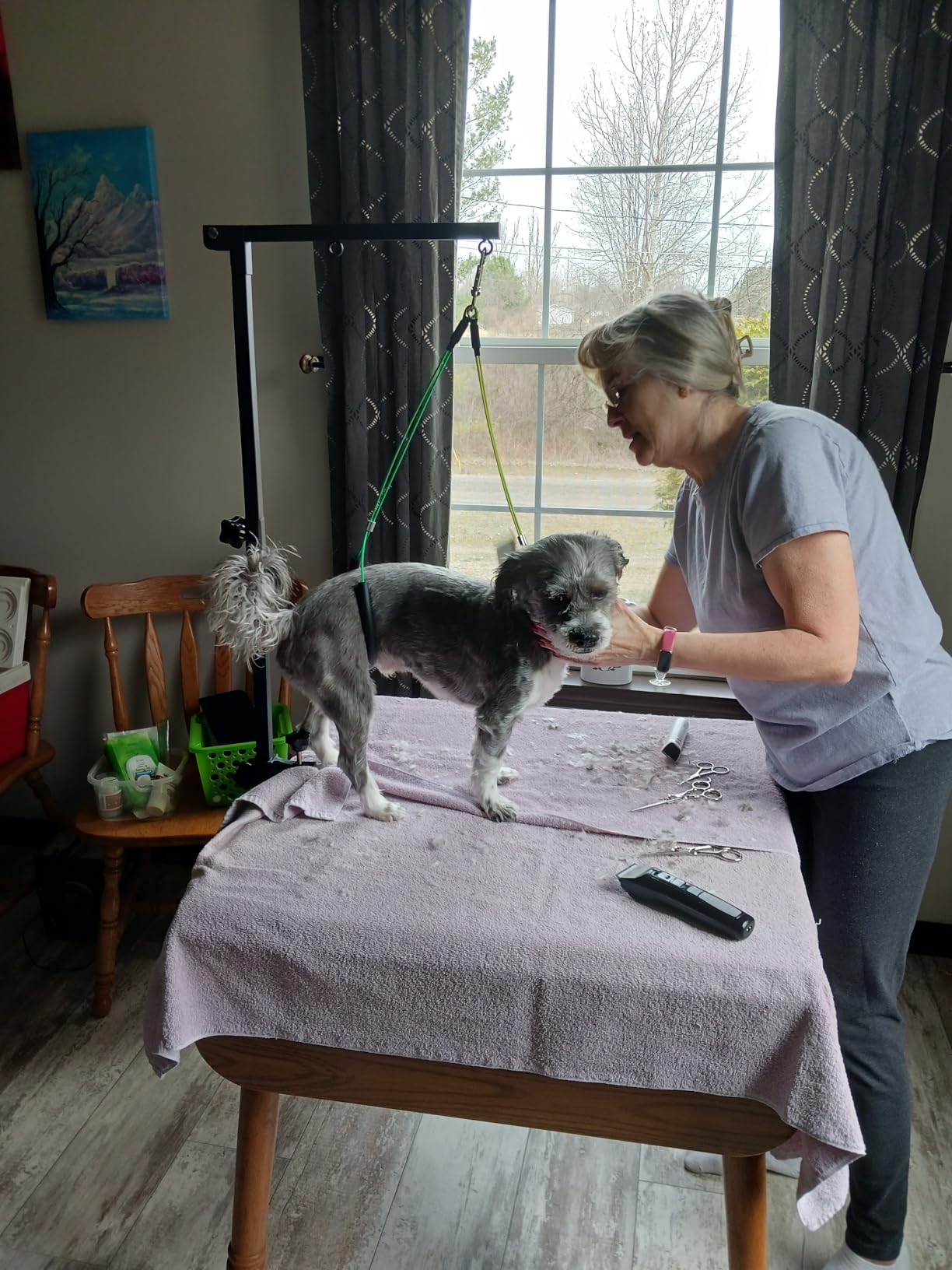 Dog Grooming Table Arm, 35-Inch Adjustable Clamp with Hammock customer photo 1