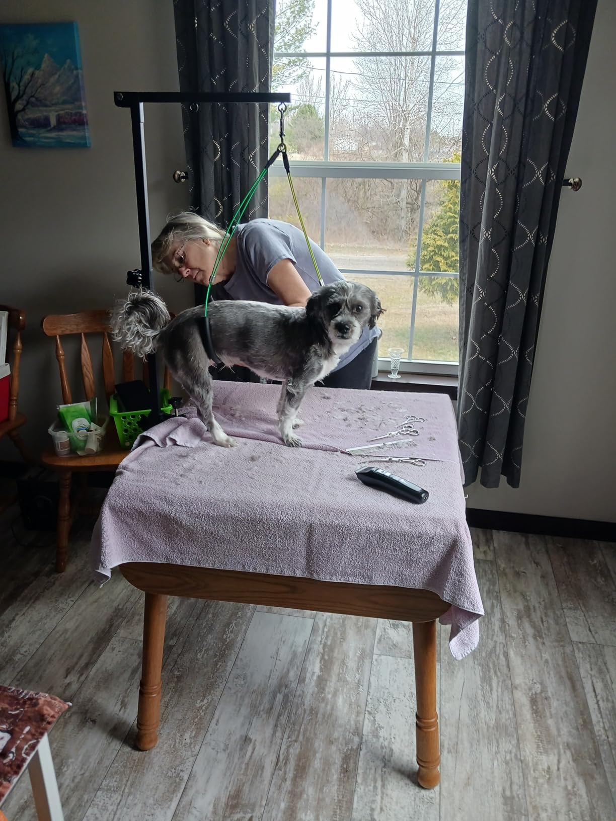 Dog Grooming Table Arm, 35-Inch Adjustable Clamp with Hammock customer photo 2