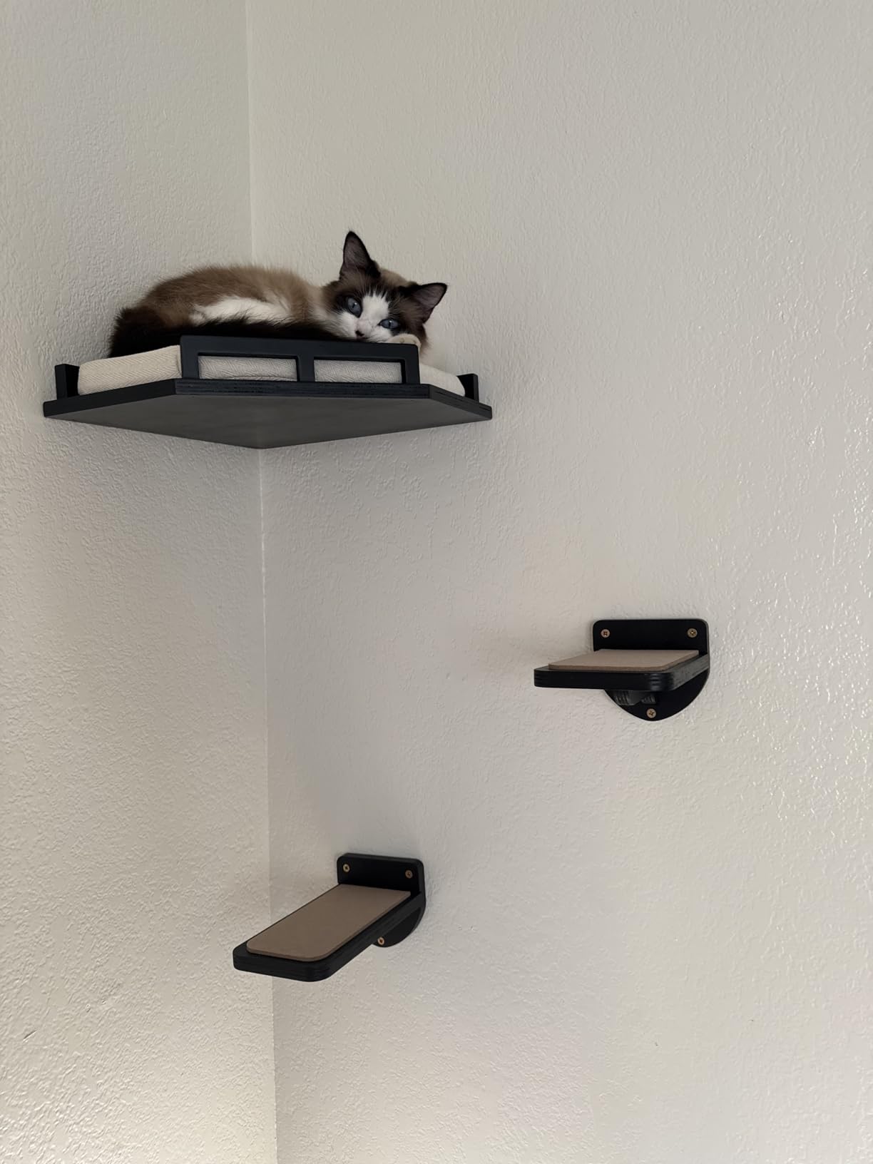 INICIO Cat Wall Shelves and Steps, 4-Piece Wooden Cat Wall Furniture Set customer photo 1