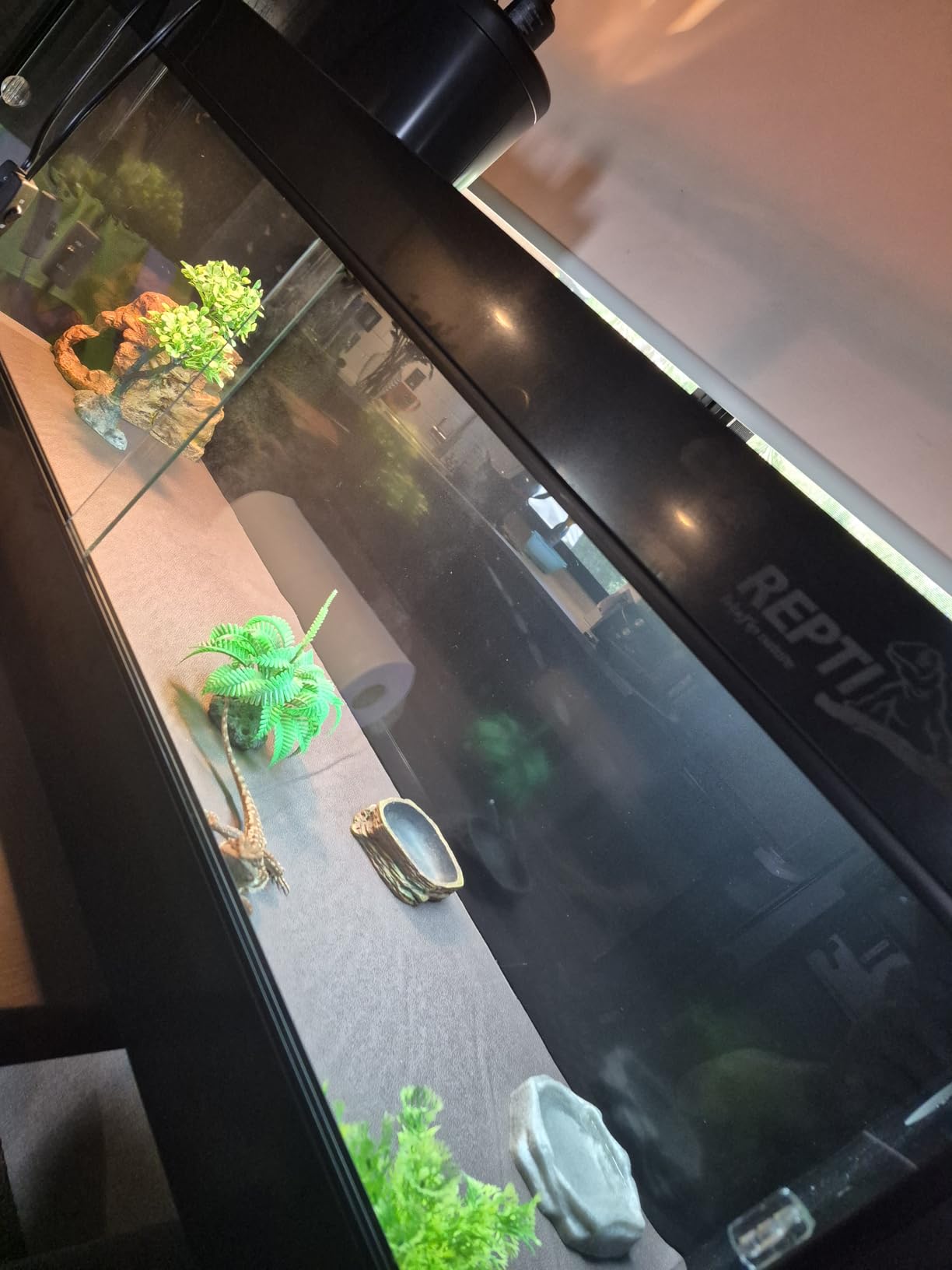 REPTI ZOO 120 Gallon PVC Reptile Tank Terrarium, 48x24x24 Reptile Terrarium for Ball Python Snake Bearded Dragon Gecko, Large Reptile Glass Tank with Sliding Door & Screen Ventilation customer photo 1