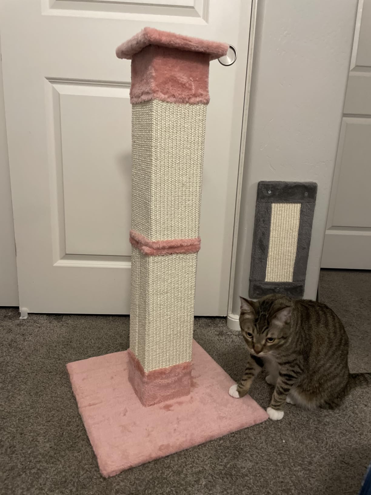 SOCATER Cat Scratching Post 33 Inch Nature Sisal Cat Scratch Post for Indoor Cats, Large Cat Scratcher Protect Your Furniture, for All Breeds customer photo 2
