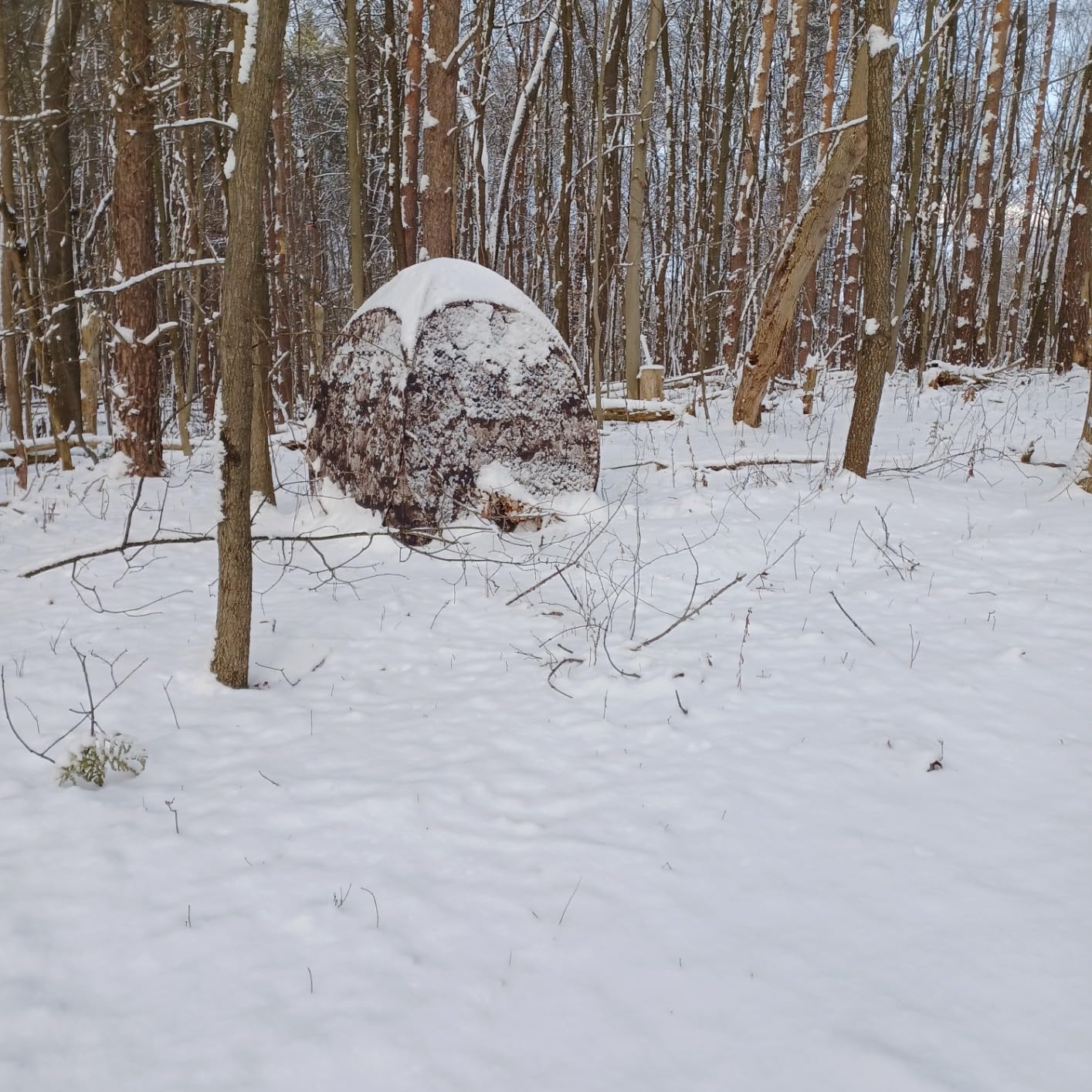 THUNDERBAY Run & Gun Series 1-3 Pereson Pop-Up Ground Blind, Hunting Bilnd for Deer, Turkey Duck Hunting, Bow Hunting customer photo 1