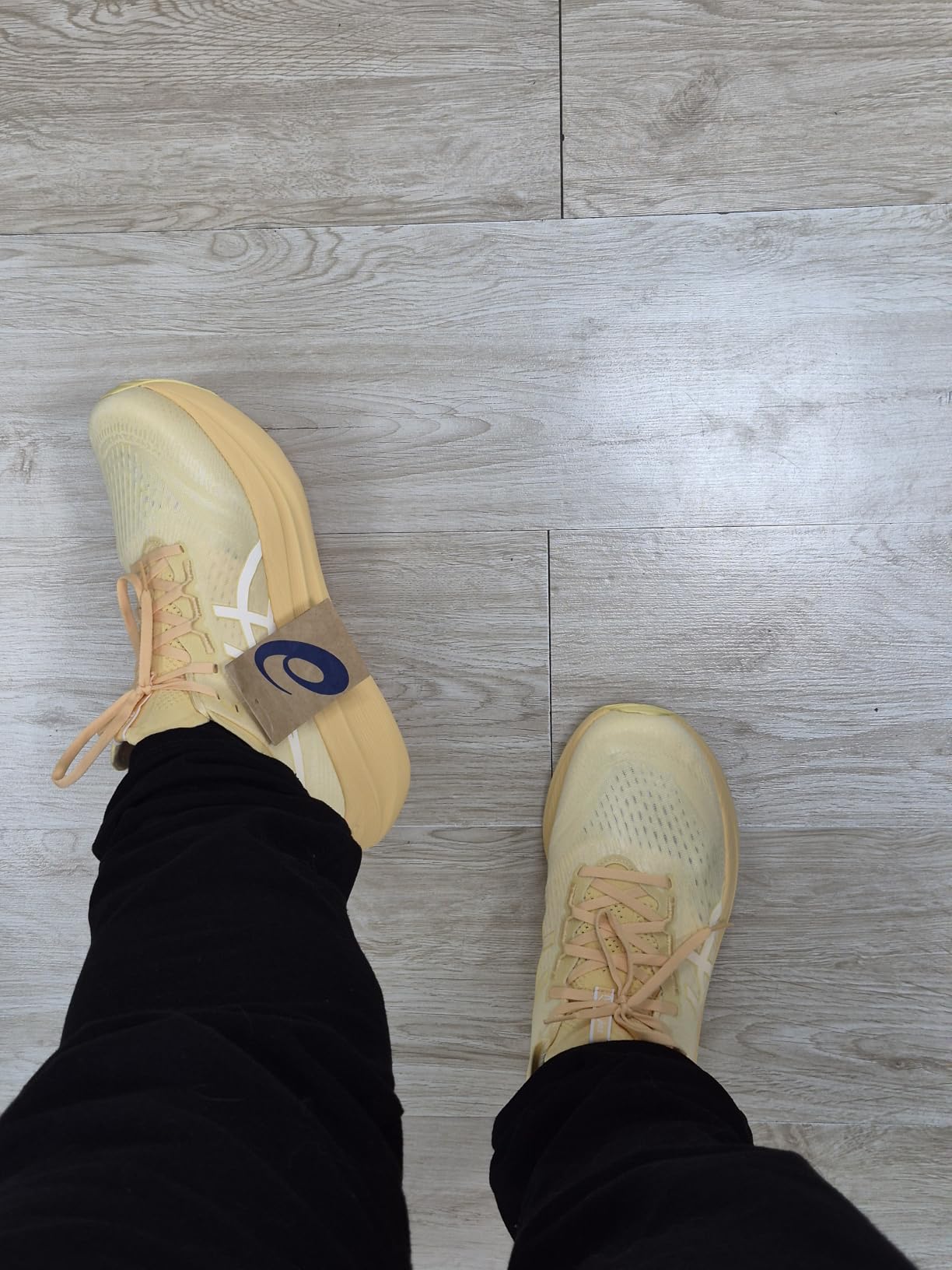 ASICS Gel-Nimbus 27 customer photo 2