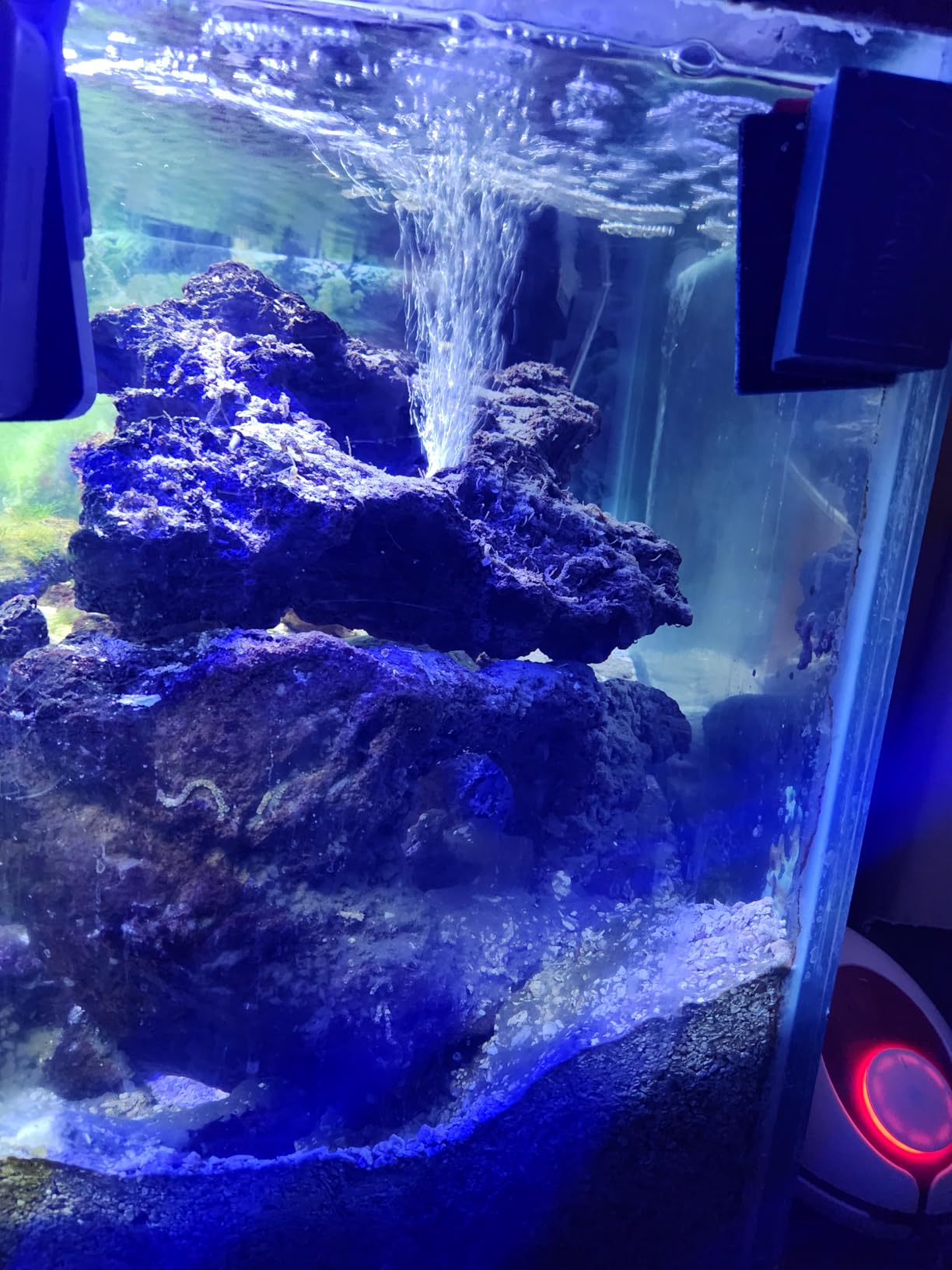 AQUASMITH No-Hum Whisper-Quiet Aquarium Air Pump,＜25dB Adjustable Airflow customer photo 1