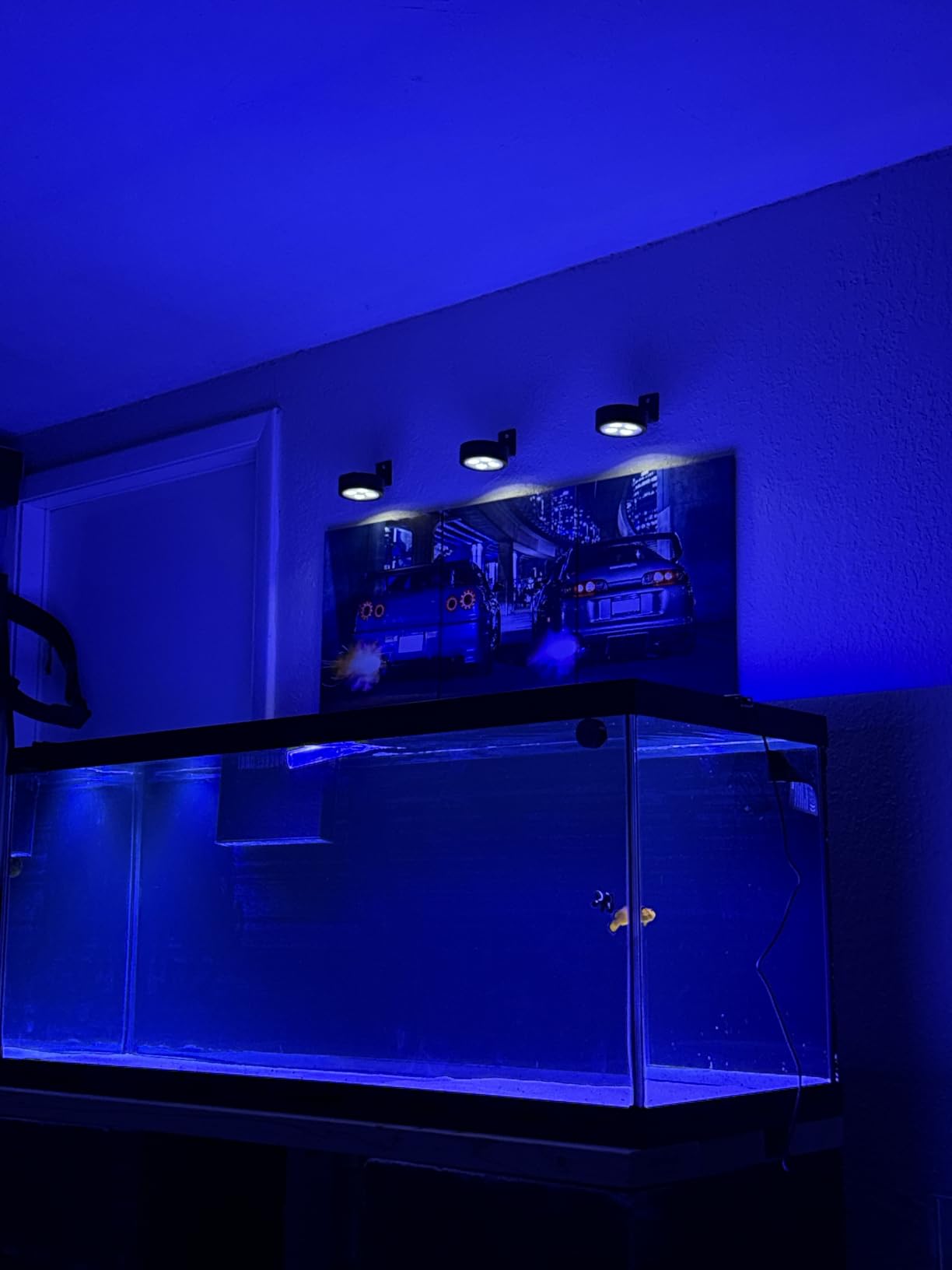 A036 5rd Reef Tank Light 36 Watts Saltwater Light with Touch Control, Reef Lights for Coral Reef Nano Fish Tank Marine Tanks with Timer & Screen customer photo 1