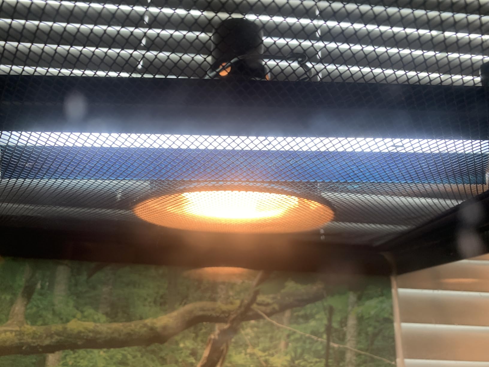 T5 Reptile Light Fixture Combo Kit 24W Light Fixture Reptile Terrarium Hood 10.0 UVB Light Bulb Fluorescent Tube Ideal for Tropical and Deserts Such as Bearded Dragon Lizards and Tortoises customer photo 1