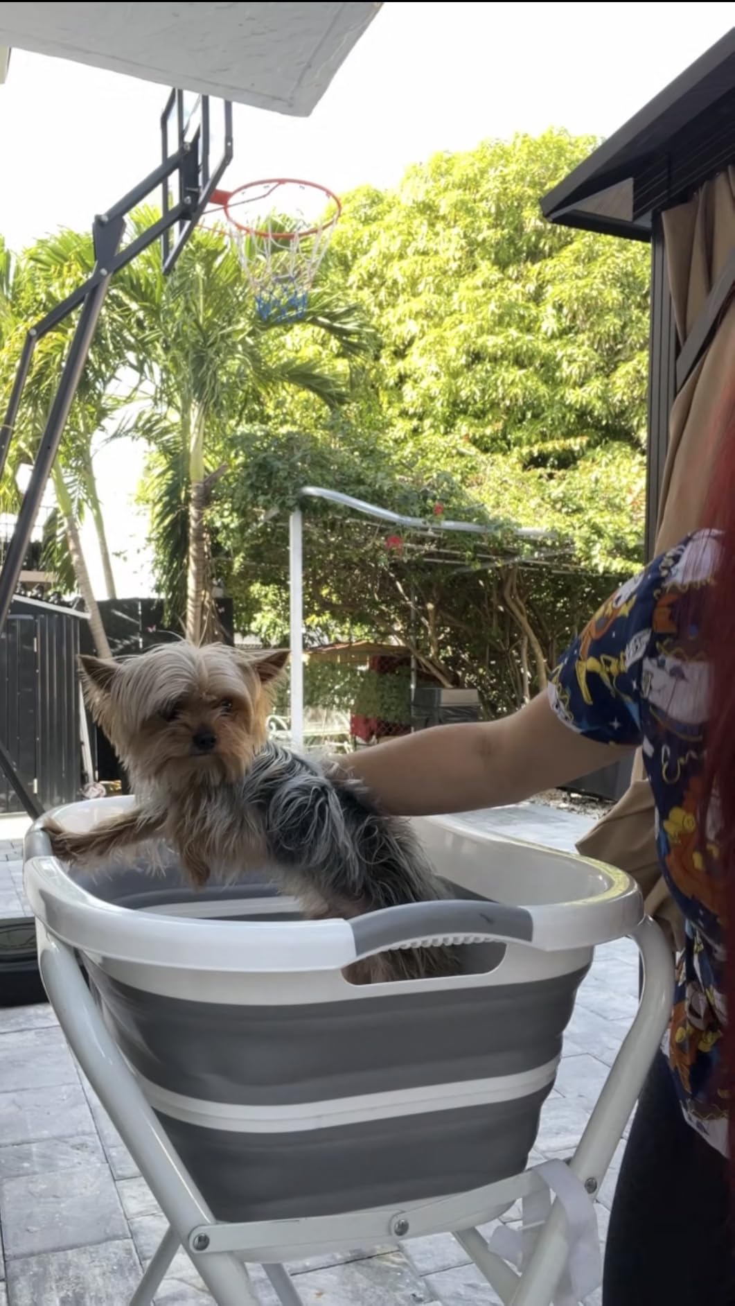 Portable Dog Bath Tub and Dog Washing Station, Collapsible Elevated Pet Tub for Bathing, Showering, Grooming, Pet Bathing Basin for Small to Medium Dogs, Cats and Other Pets (Built-in Drainage System) customer photo 2
