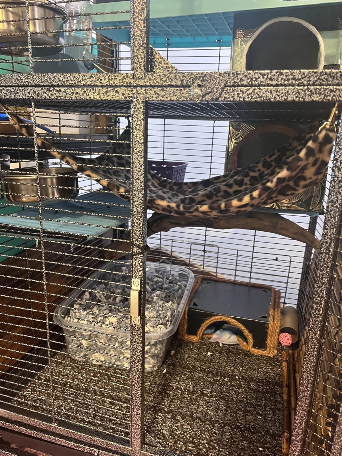 Deluxe Double Unit Two Full Story Small Animal Critter Home Rolling Cage customer photo 1