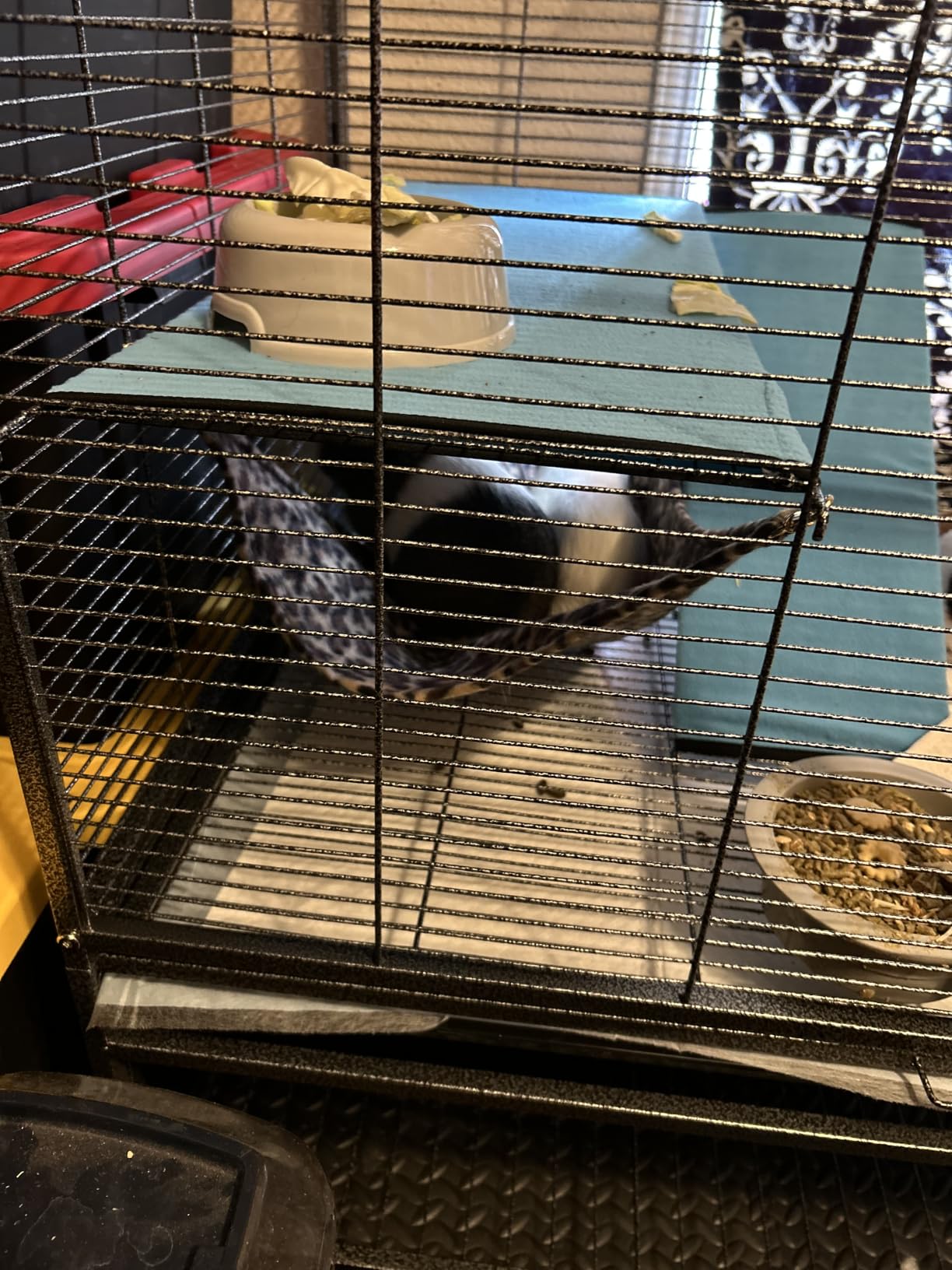 Deluxe Double Unit Two Full Story Small Animal Critter Home Rolling Cage customer photo 2