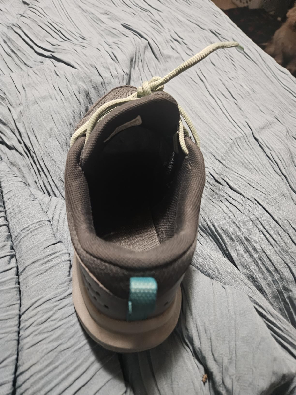ASICS GT-1000 14 customer photo 2