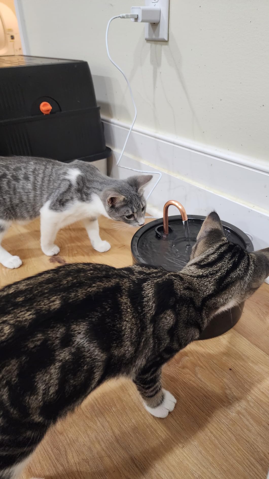 MISFANS Ceramic Cat Water Fountain, All-Ceramic Body, Pure Copper Spout customer photo 1