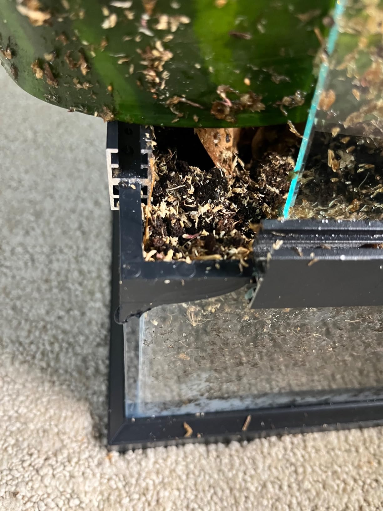 24x18x18'' Front-Opening Glass Reptile Tank for Gecko & Snake customer photo 1