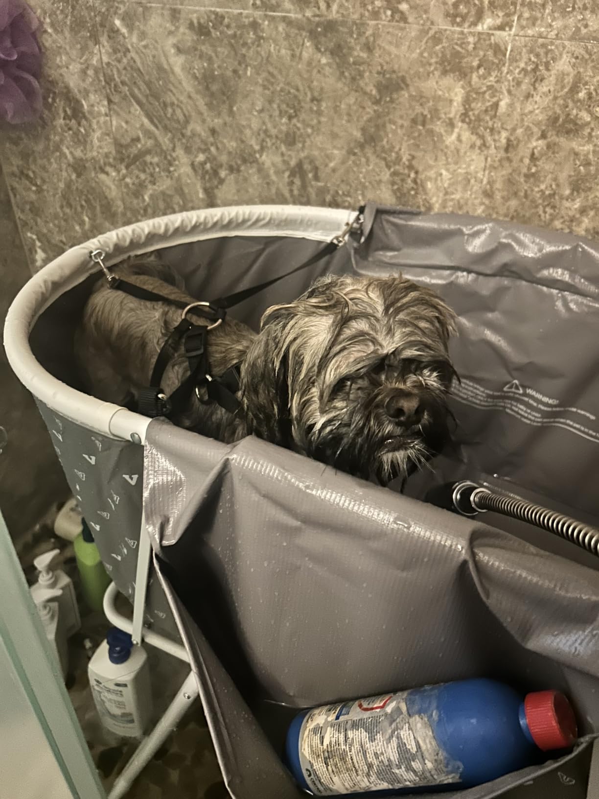 VEVOR Portable Dog Bathtub Foldable Pet Shower Station with Drain, Grey customer photo 2