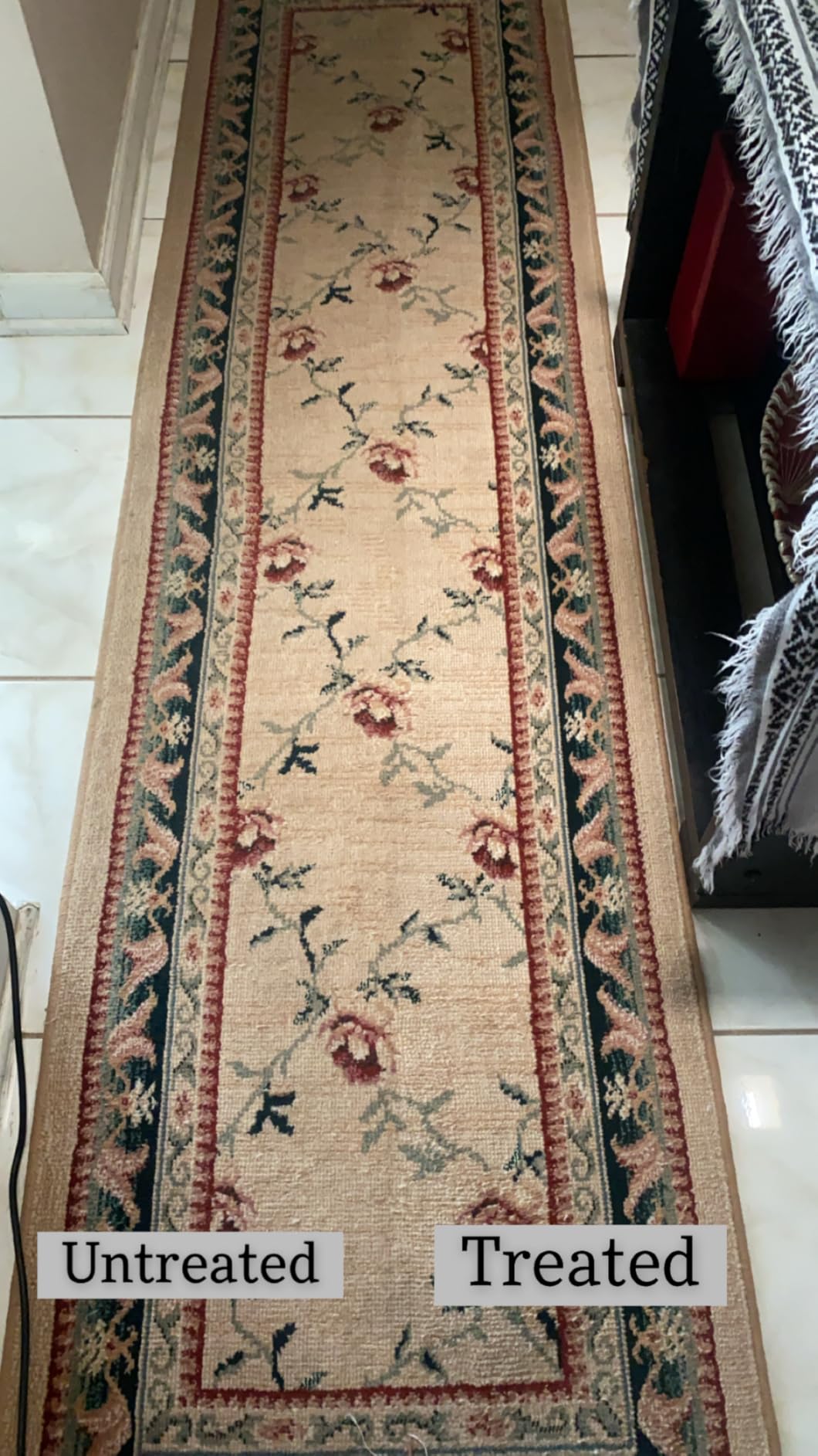Shark CarpetXpert HairPro customer photo 1