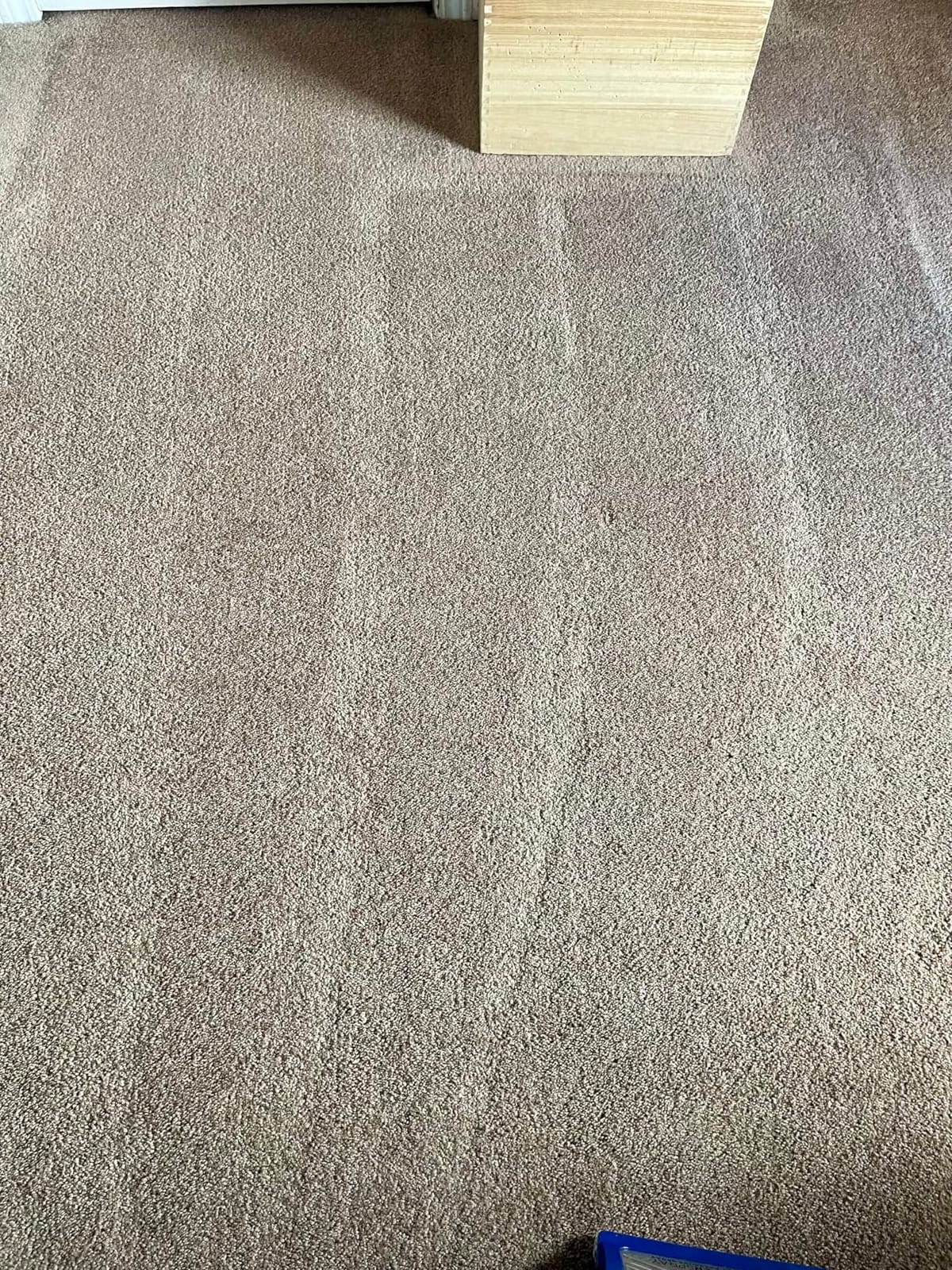 Shark CarpetXpert HairPro customer photo 2