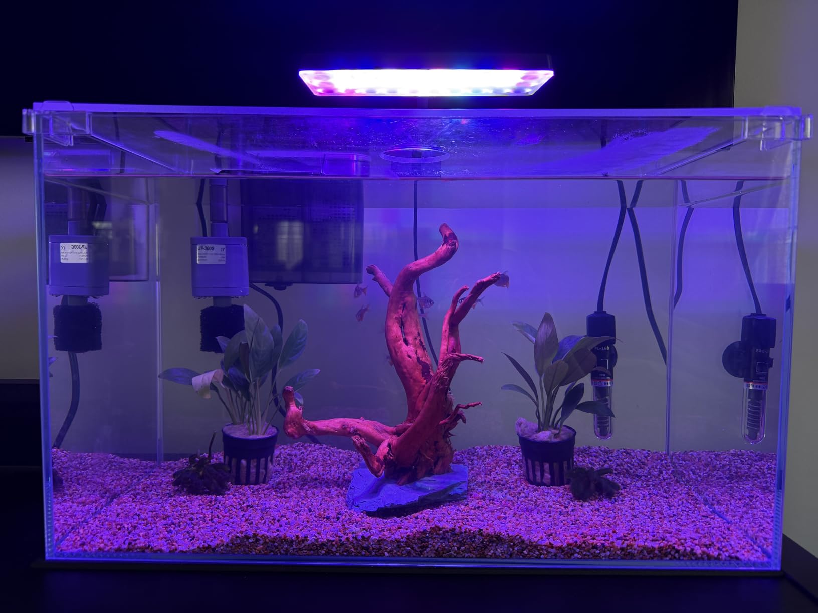 Vimvins 10 Gallon Glass Small Fish Tank with Filter Light and Lid, Aquarium Starter Kit customer photo 2