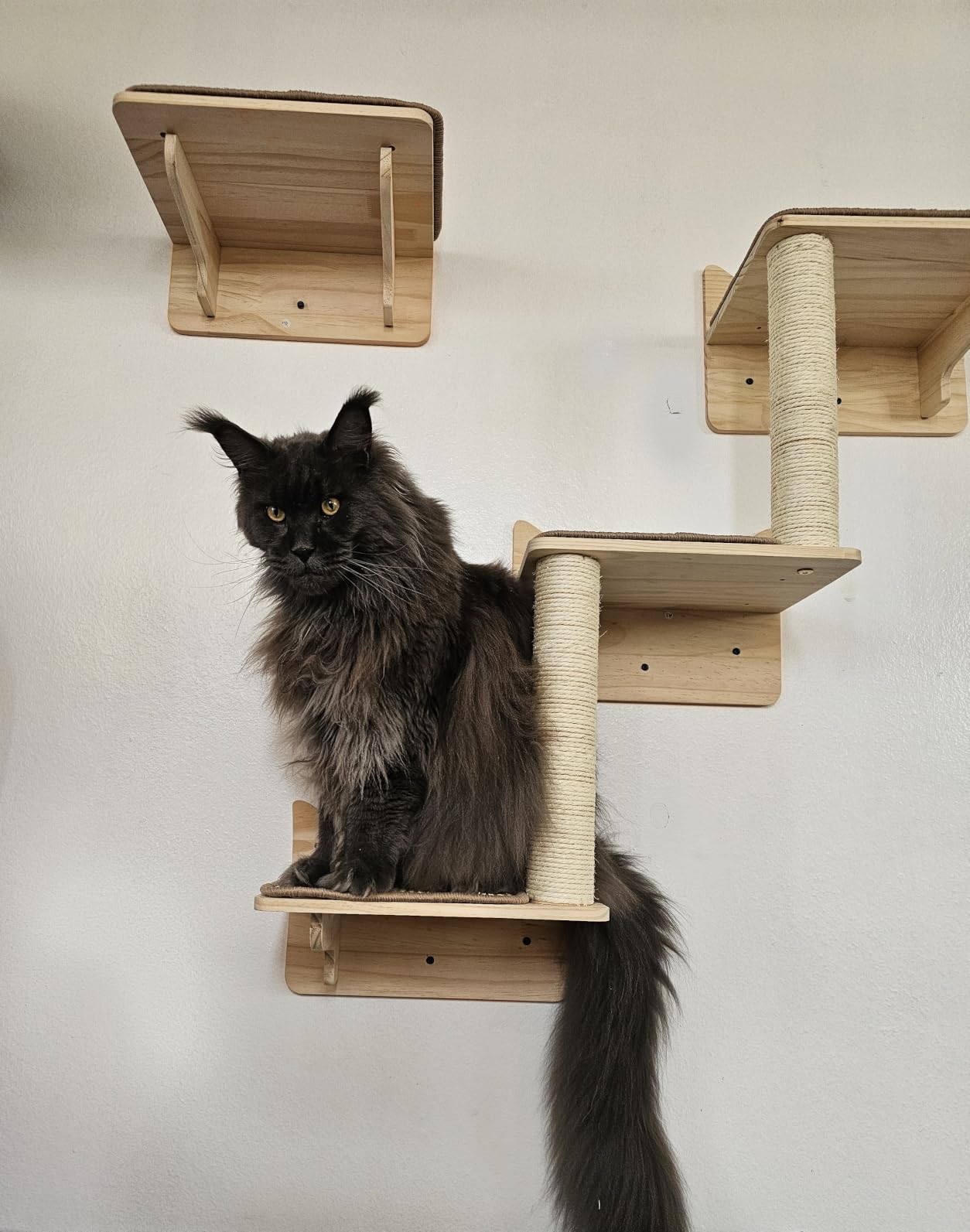Wall Mounted Cat Tree, Cat Wall Shelves with Sisal Mats customer photo 1