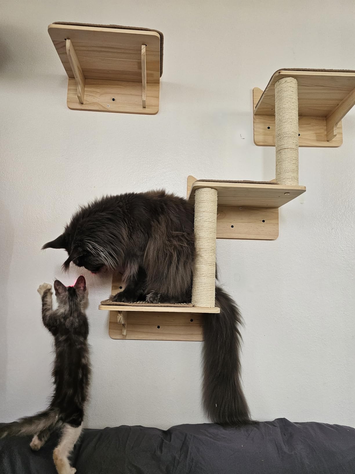Wall Mounted Cat Tree, Cat Wall Shelves with Sisal Mats customer photo 2