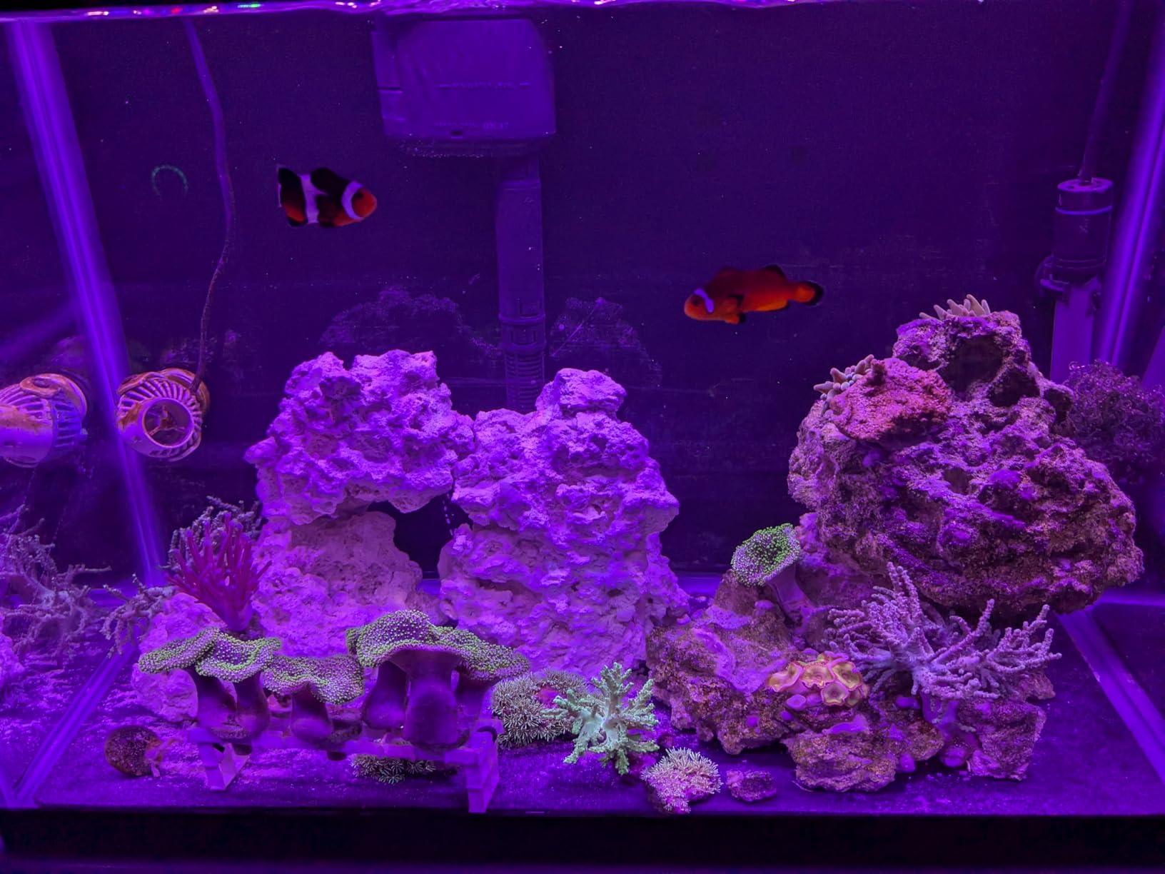 Pawfly 48W Saltwater Aquarium Light for 48