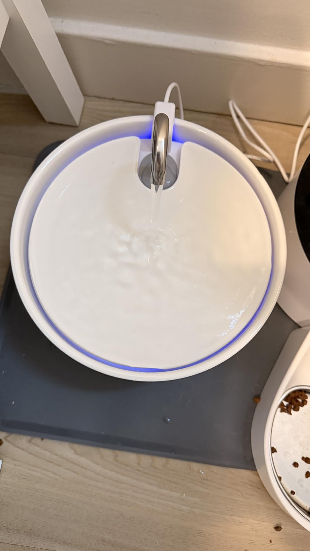 Wonder Creature Ceramic Cat Water Fountain 2.2L/74oz (White) customer photo 2