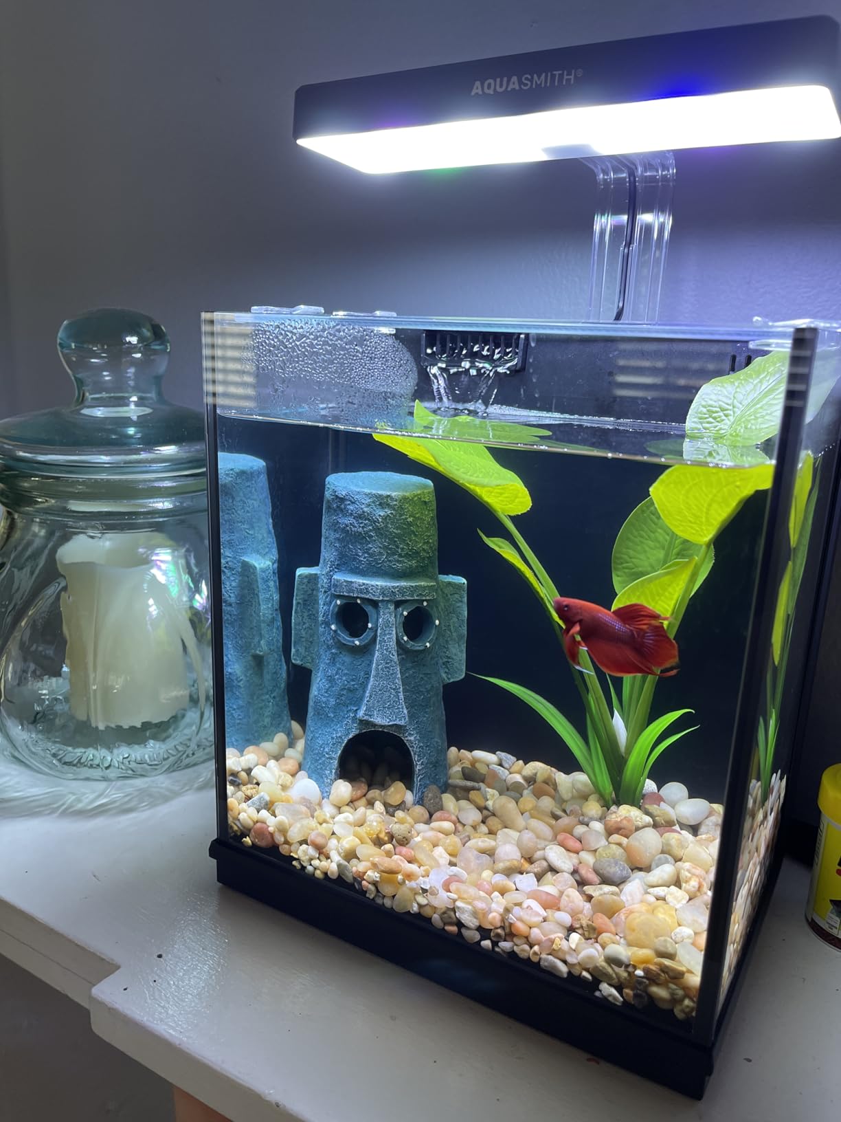 AQUASMITH 2-Gallon All-in-One Fish Tank – Silent Pump, 3-Stage Filtration & Easy Water Change, Perfect Self-Care Betta Aquarium Kit for Kids & Beginners (White customer photo 1