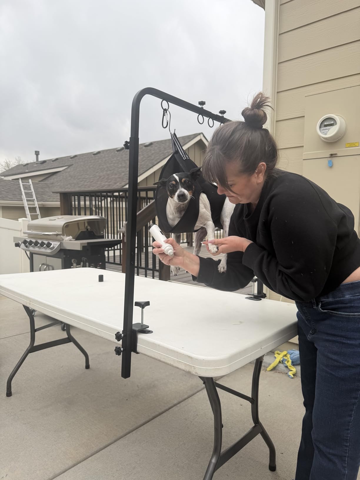 Pet Grooming Arm for Table, 42