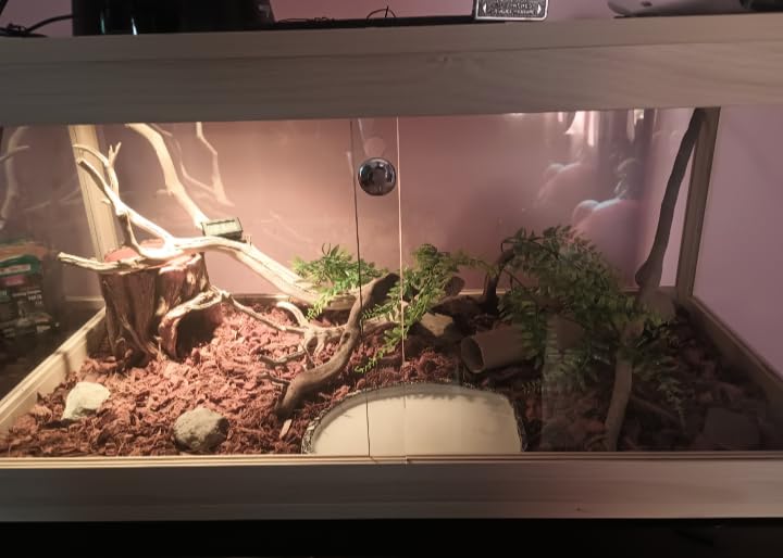 PROLEE 82 Gallon Bearded Dragon Tank, 48 x 20 x 20 Inch Tempered Glass Reptile Enclosure with Metal Mesh Top, Lockable Sliding Front Doors, Large Lizard and Snake Terrarium, Black customer photo 1