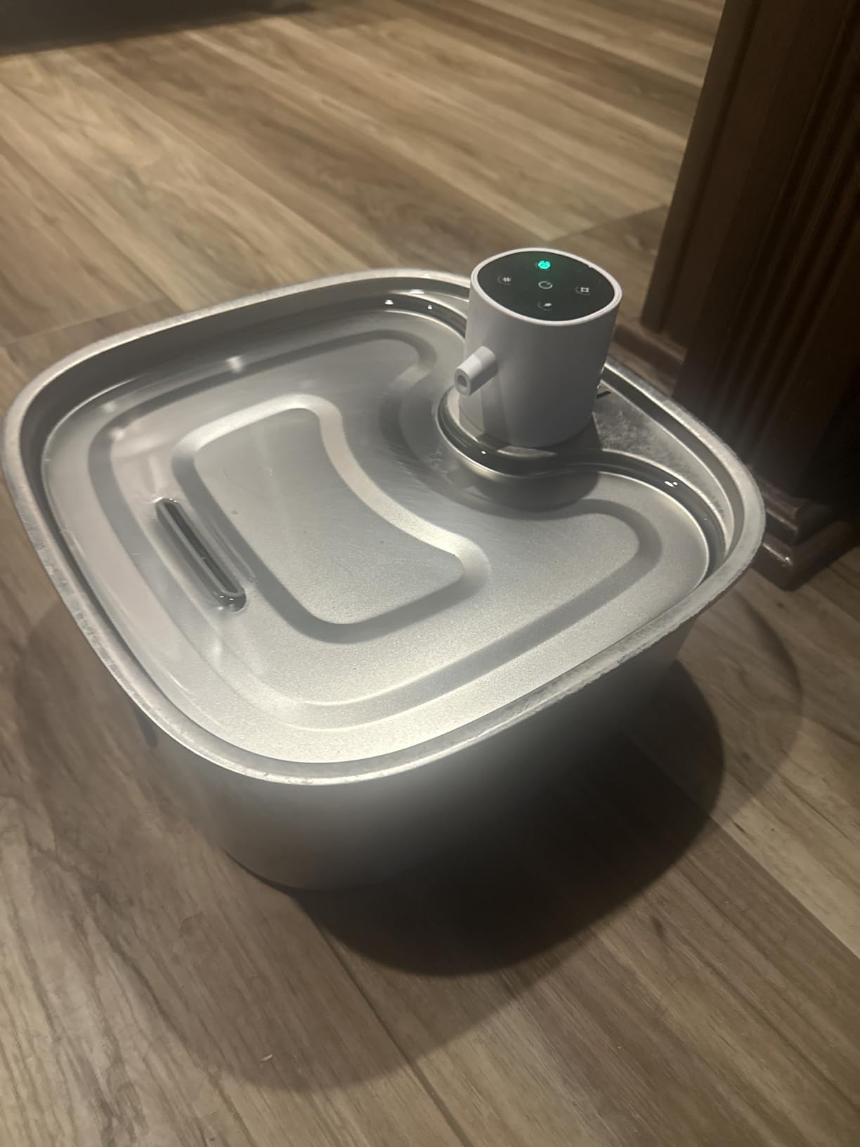 Cordless Wider Tray Dog Water Fountain, 5000mAh Battery Operated Dog Water Bowl Dispenser with 3 Motion Sensor, FEELNEEDY Stainless Steel Pet Water Fountain for Multi-Pets, Easy Setup & Clean, 8L customer photo 1