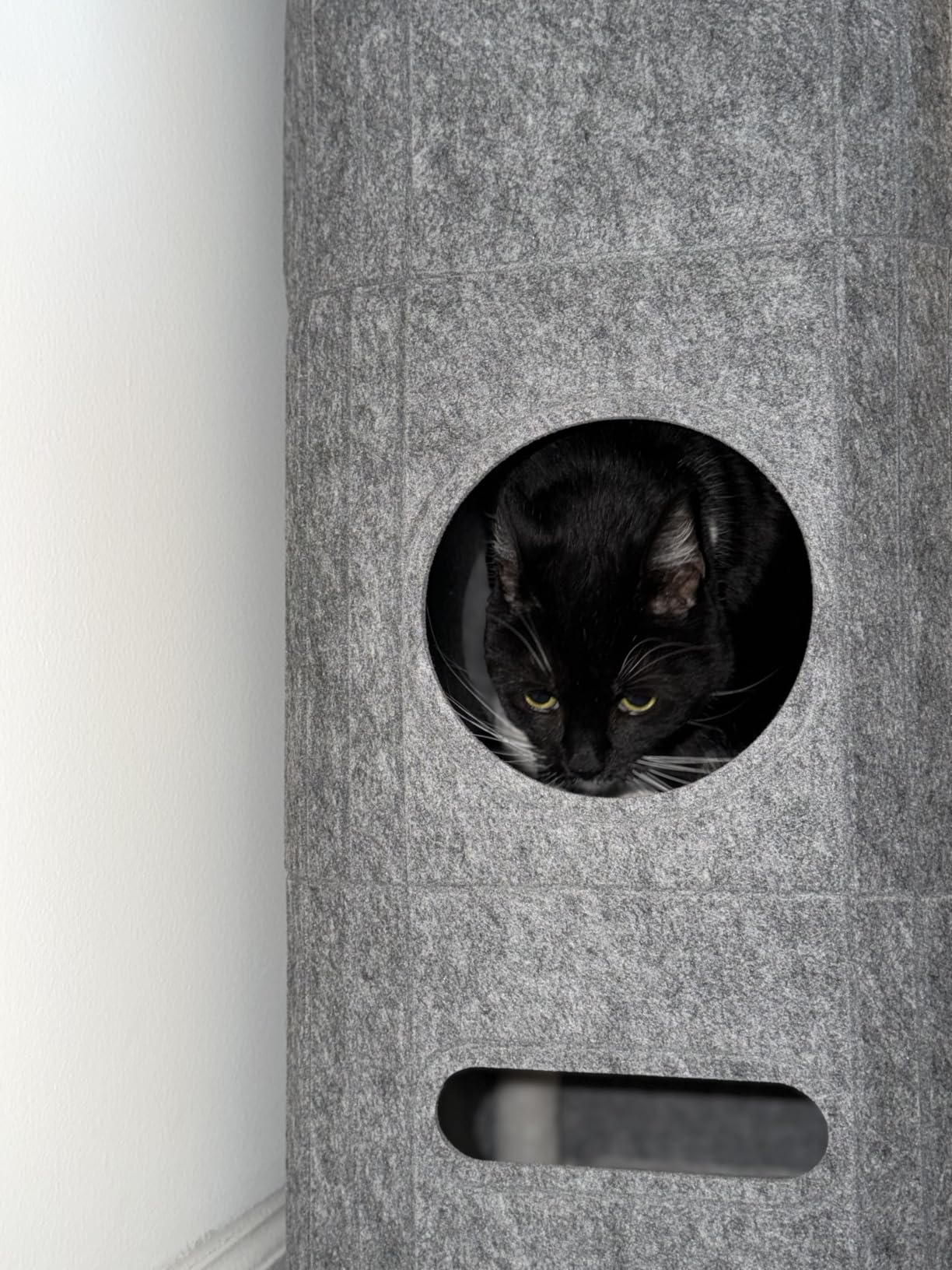Bedsure 3-Level Cat Tree for Indoor Cats with Scratching Post,Grey customer photo 1