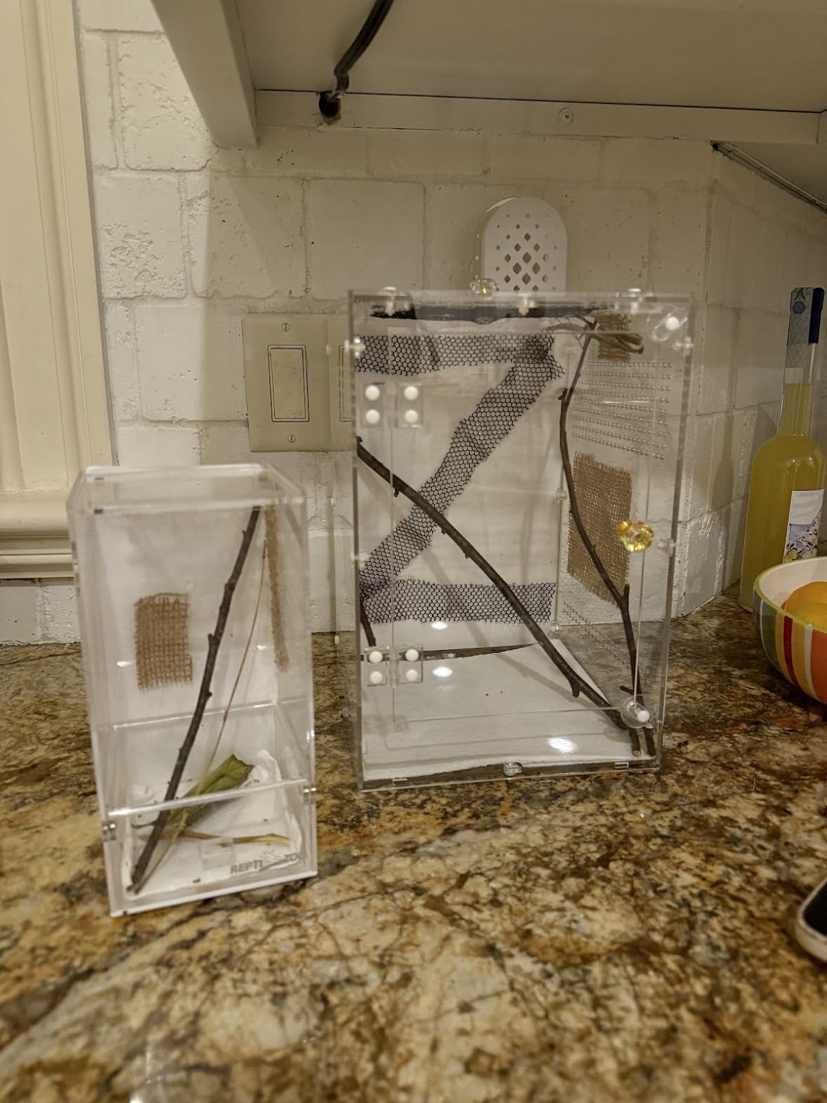Reptile Enclosure 10 Gallon for Crested Gecko, Lizard, Bearded Dragon, Snakes，Frogs, Large Spiders, Acrylic Reptile Tank Feeding Terrarium with Front & Top Opening Doors and Vent Holes - 12