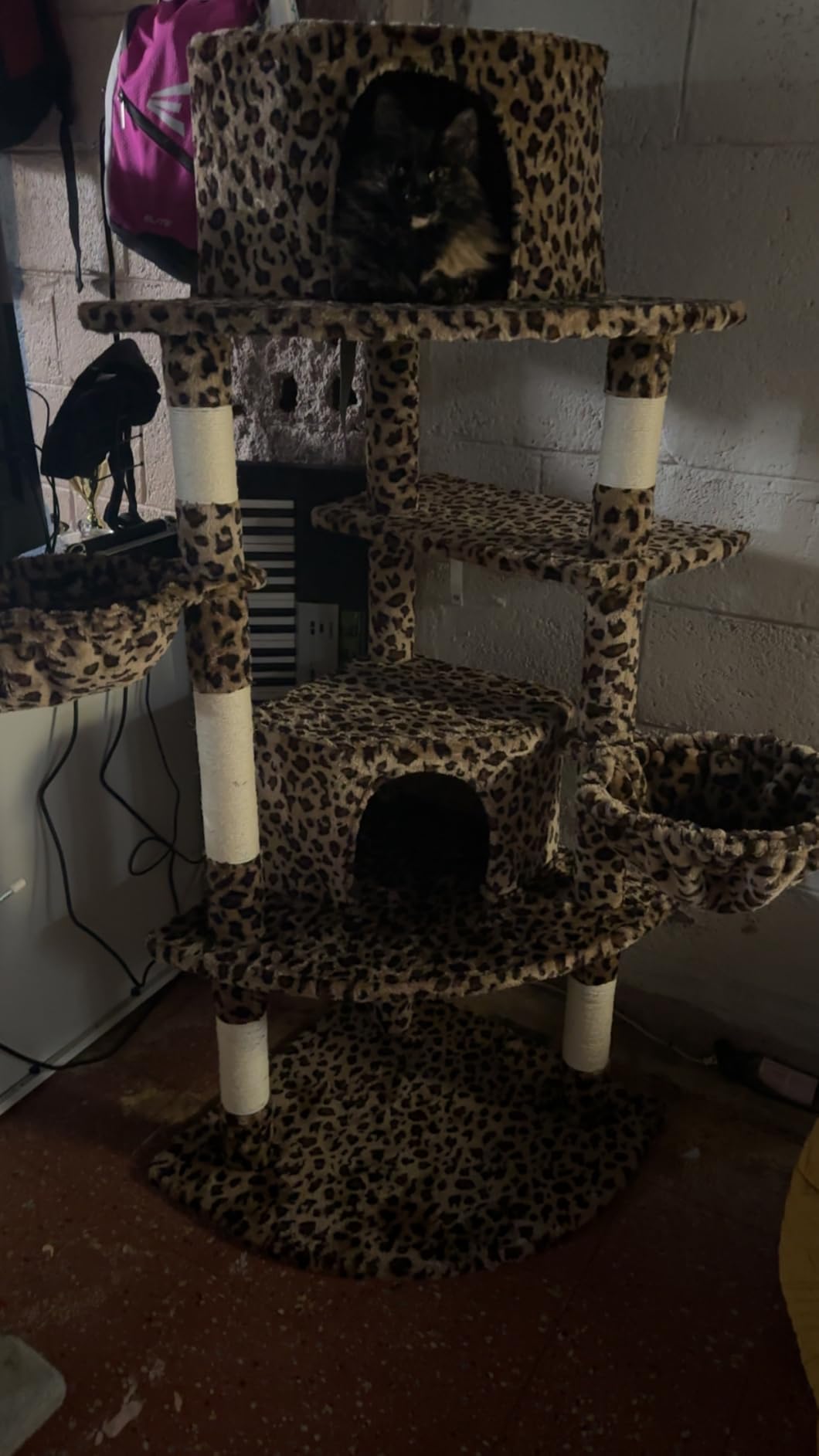 Allewie 73in Fan-Shaped Space-Saving Corner Cat Tree Tower, Dark Grey customer photo 1