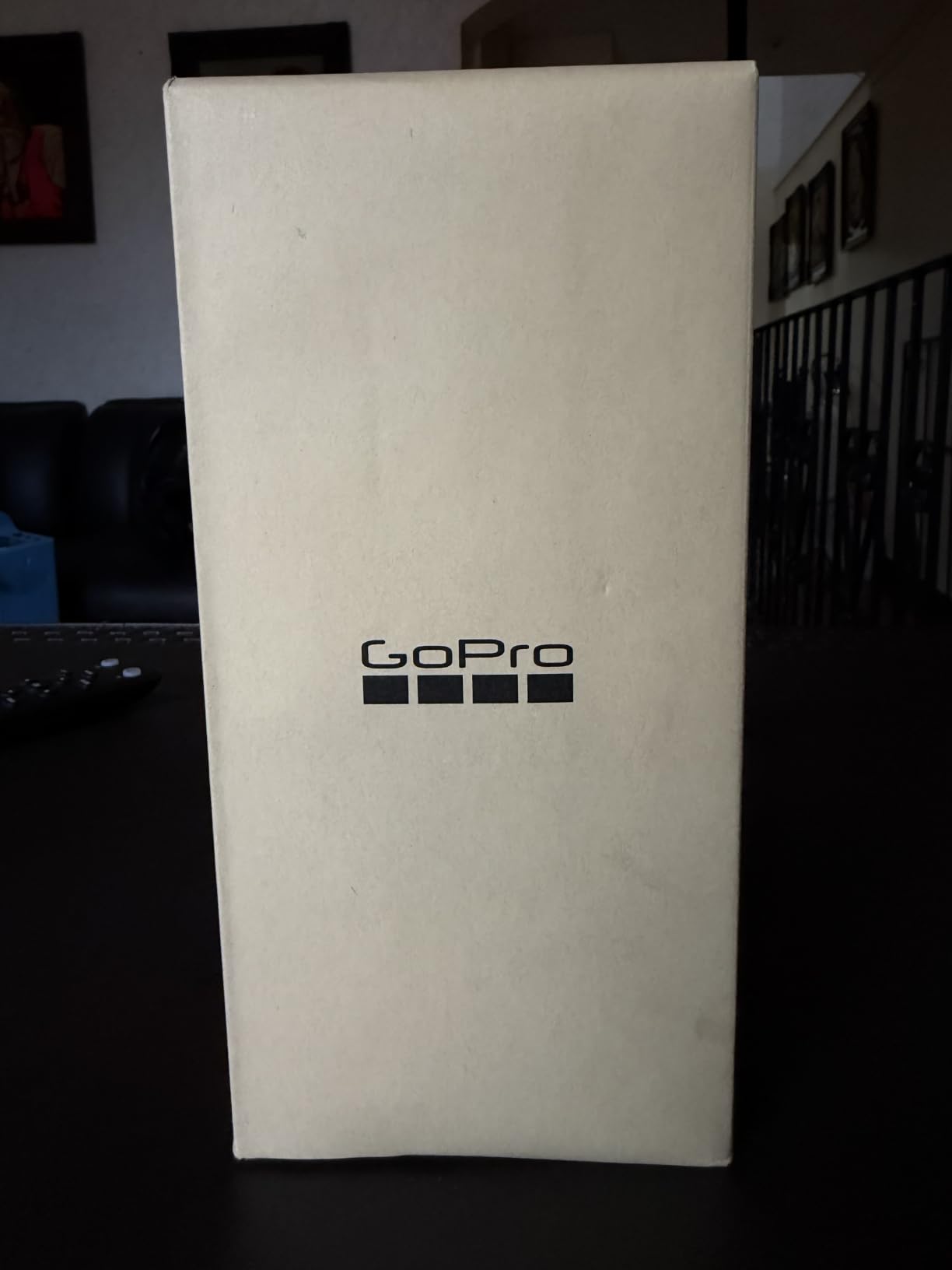 GoPro LIT HERO customer photo 1