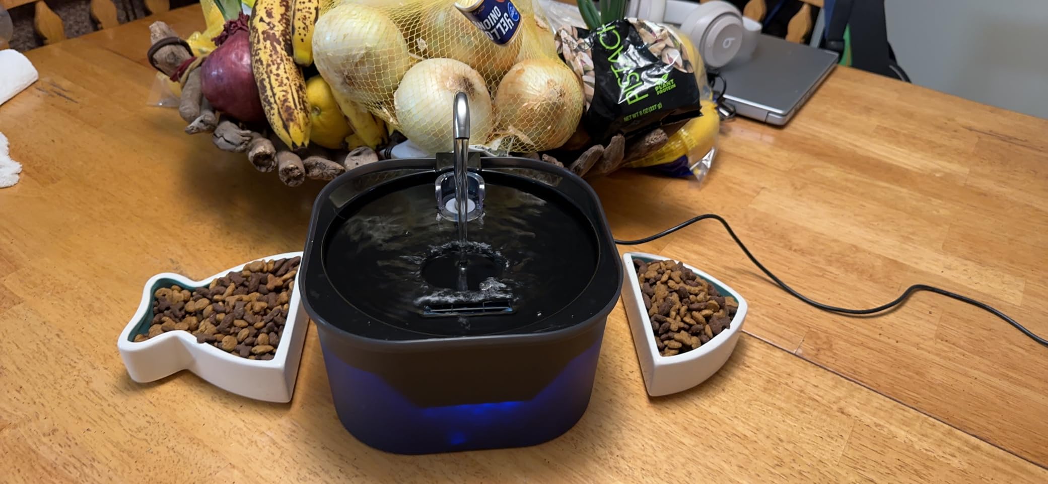 Pektaco Dog Water Fountain for Large Dogs, Stainless Steel Tray, 1 Filter customer photo 1