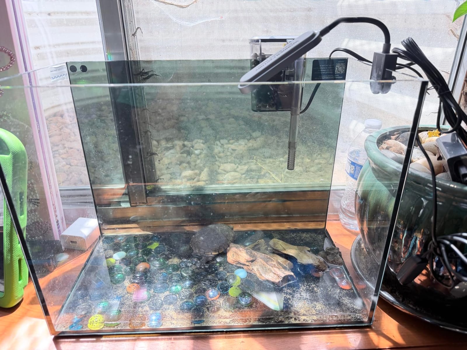 10 Gallon Aquarium Set Glass Fish Tank, Heater Self Cleaning System Filter with Media Bright Light Cleaning Tool, Leak-Proof Clear Rimless Betta Tropical Freshwater Fish customer photo 1