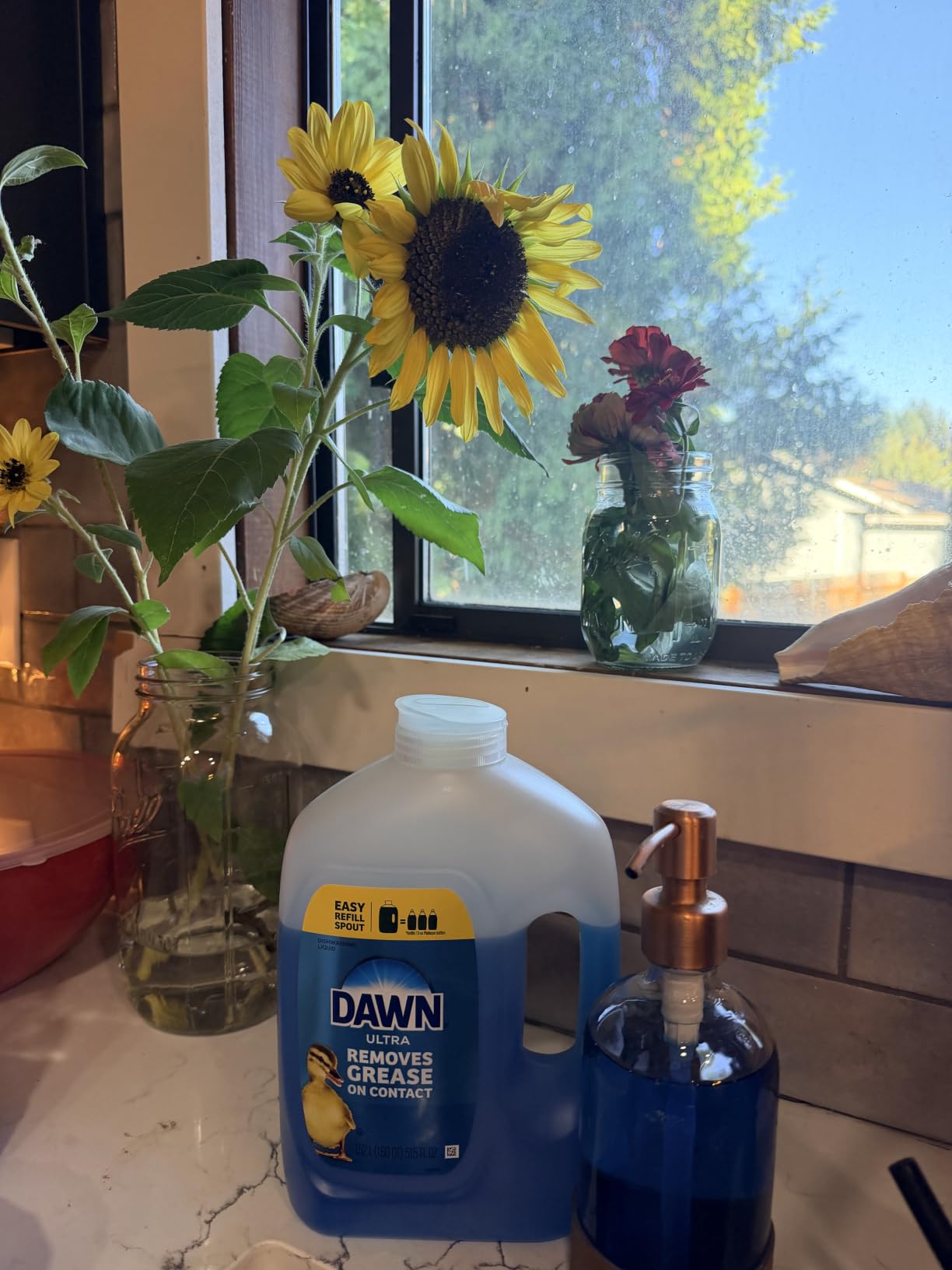Dawn Ultra Refill Jug customer photo 2