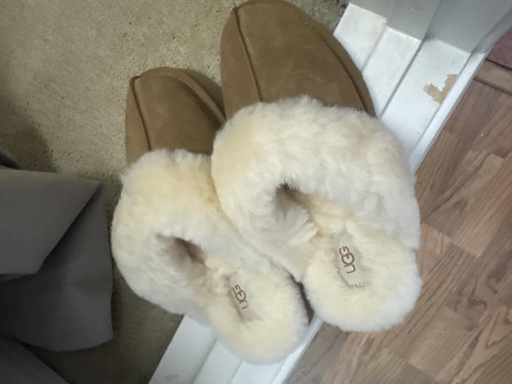 UGG Disquette customer photo 1