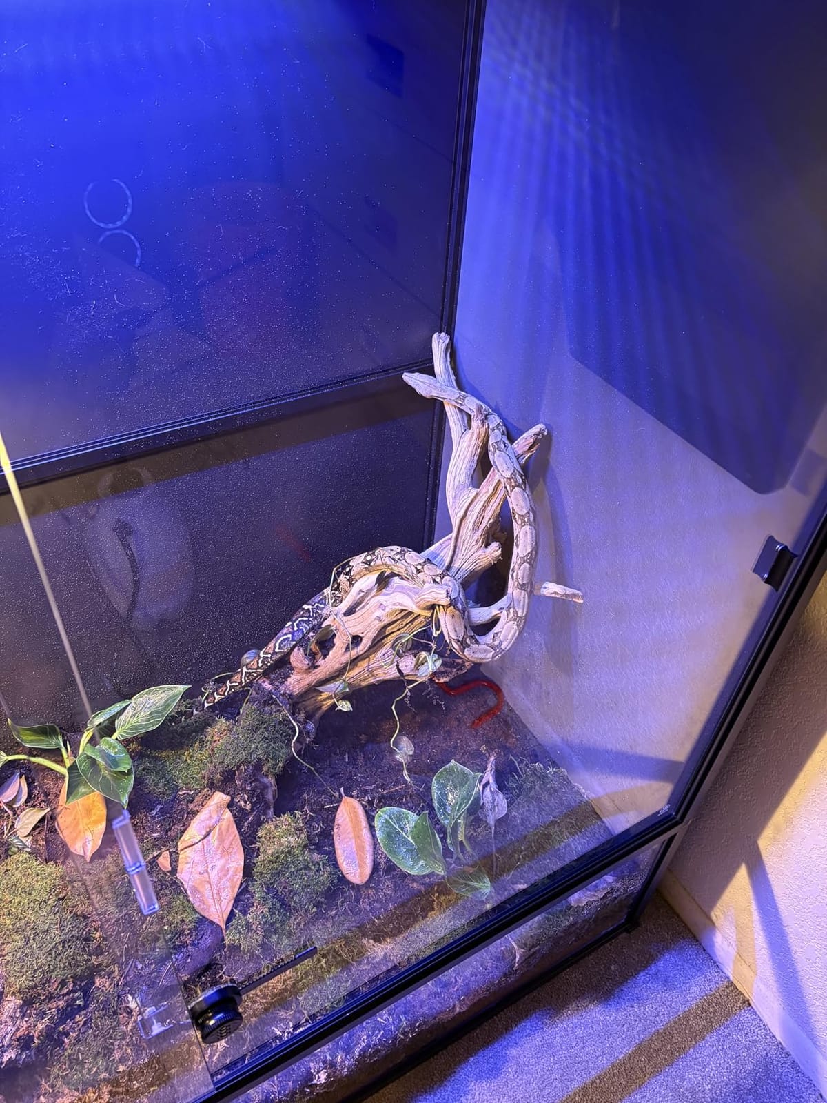 120 Gallon PVC Reptile Enclosure 48