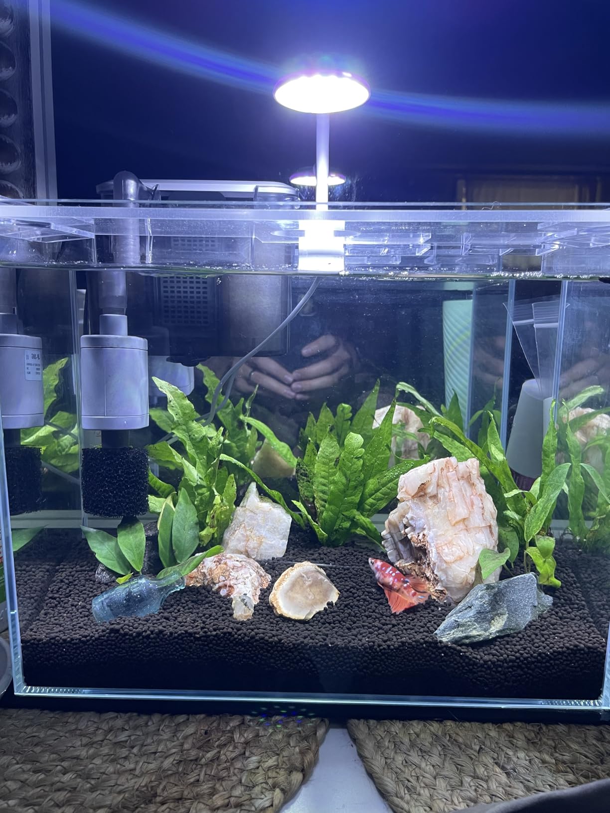 Vimvins 20 Gallon Glass Fish Tank customer photo 1