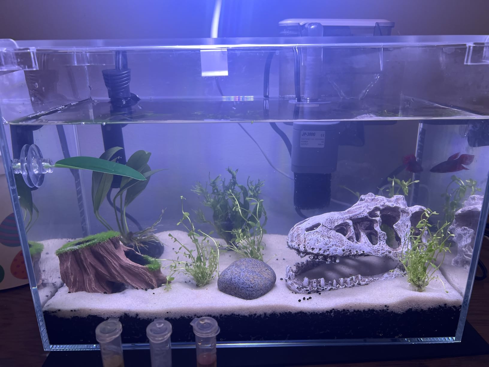 Vimvins 20 Gallon Glass Fish Tank customer photo 2
