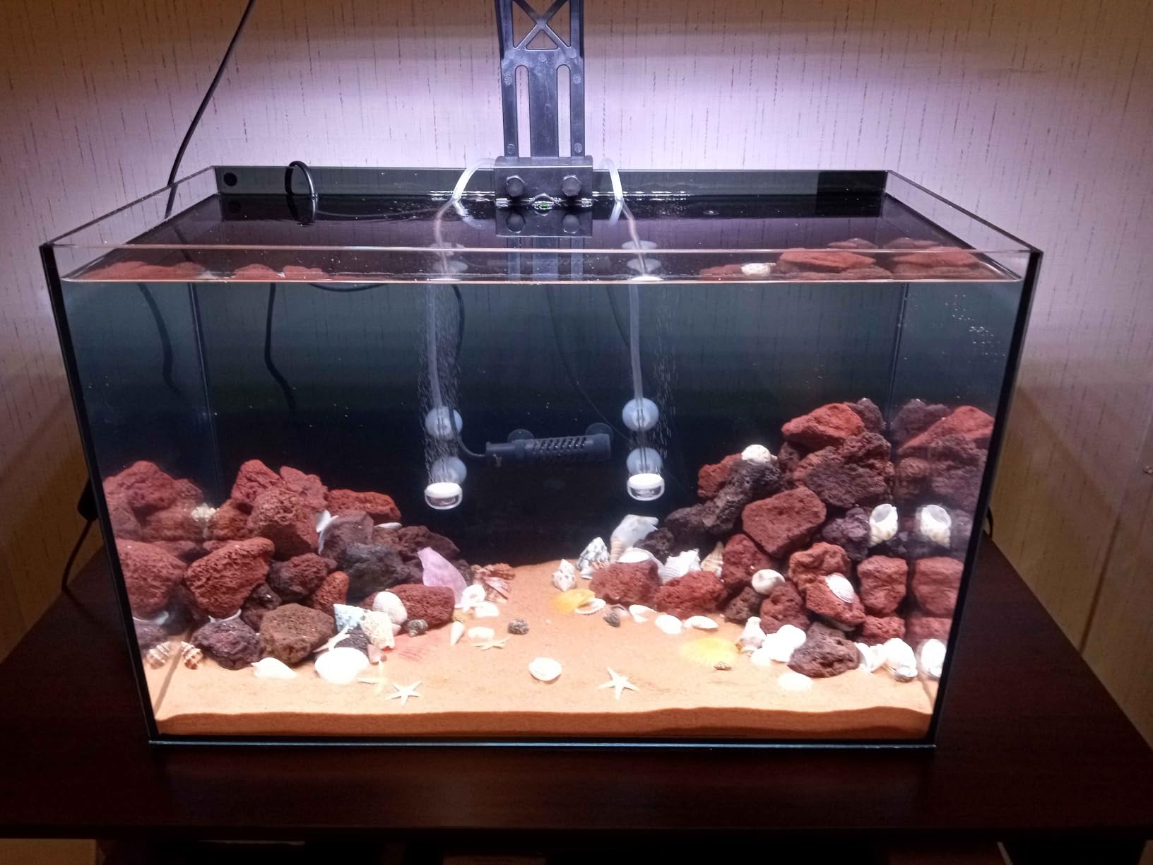 10 Gallon Glass Fish Tank Open-Back Lid, Aquarium Fish Bowl Cube for Betta Goldfish Snails Shrimp Aquatic Planting, Ultra Clear Rimless Low Iron customer photo 1
