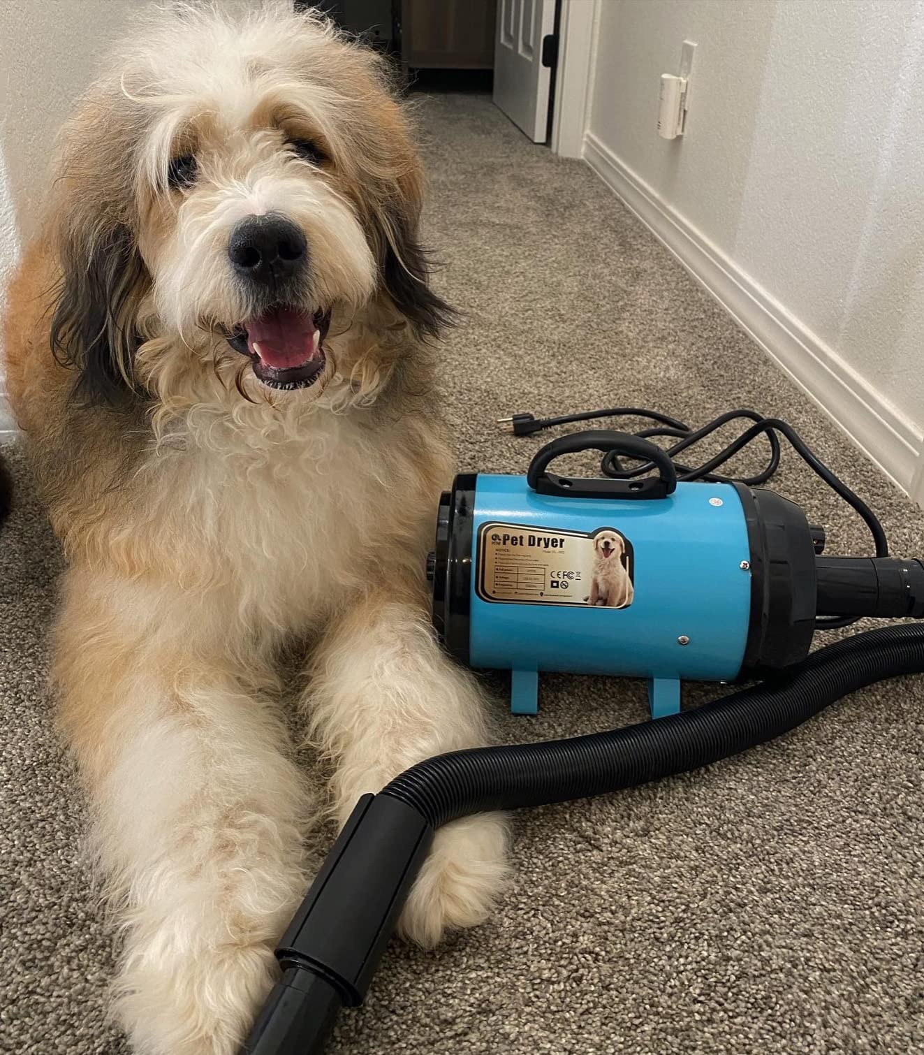PETNF Hands-Free Neck Dog Dryer, 110,000 RPM High Velocity Pet Hair Blow Dryer for Dog Grooming, 1300W Wearable Design, 3 Speeds 5 Heat Settings, Home & Salon customer photo 2