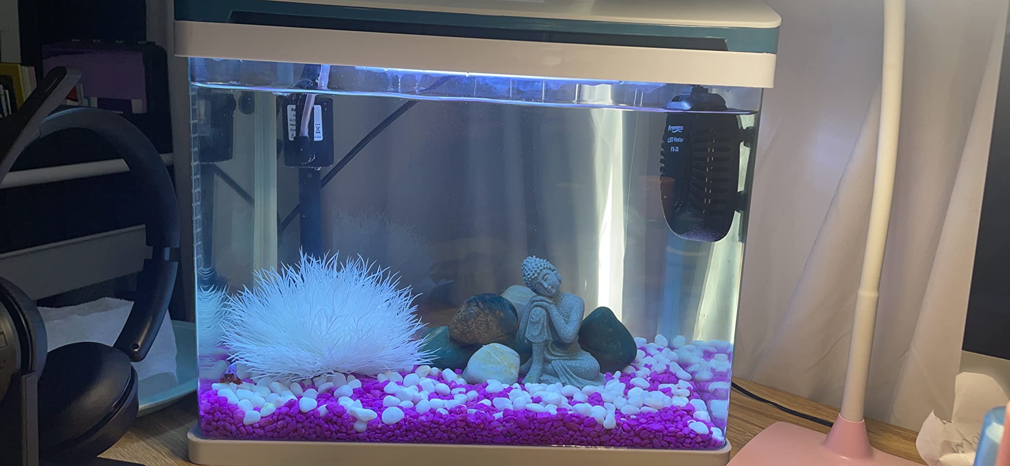 10 Gallon Fish Tank, Betta Fish Tank Smart Aquarium Kit 100% Glass Material customer photo 1