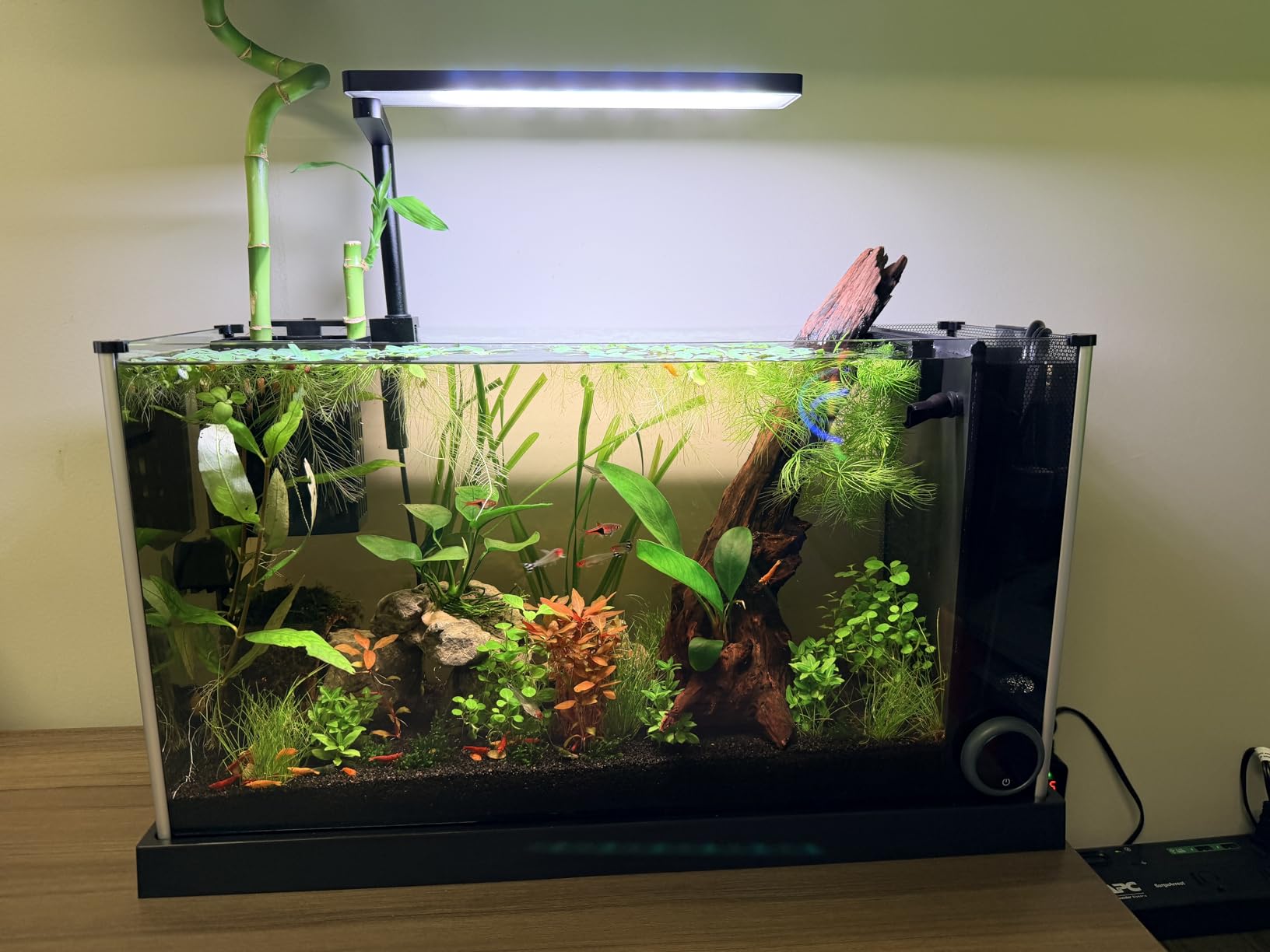 FZONE Solo Series Nano Aquarium Light for Saltwater and Reef Coral Tanks customer photo 2