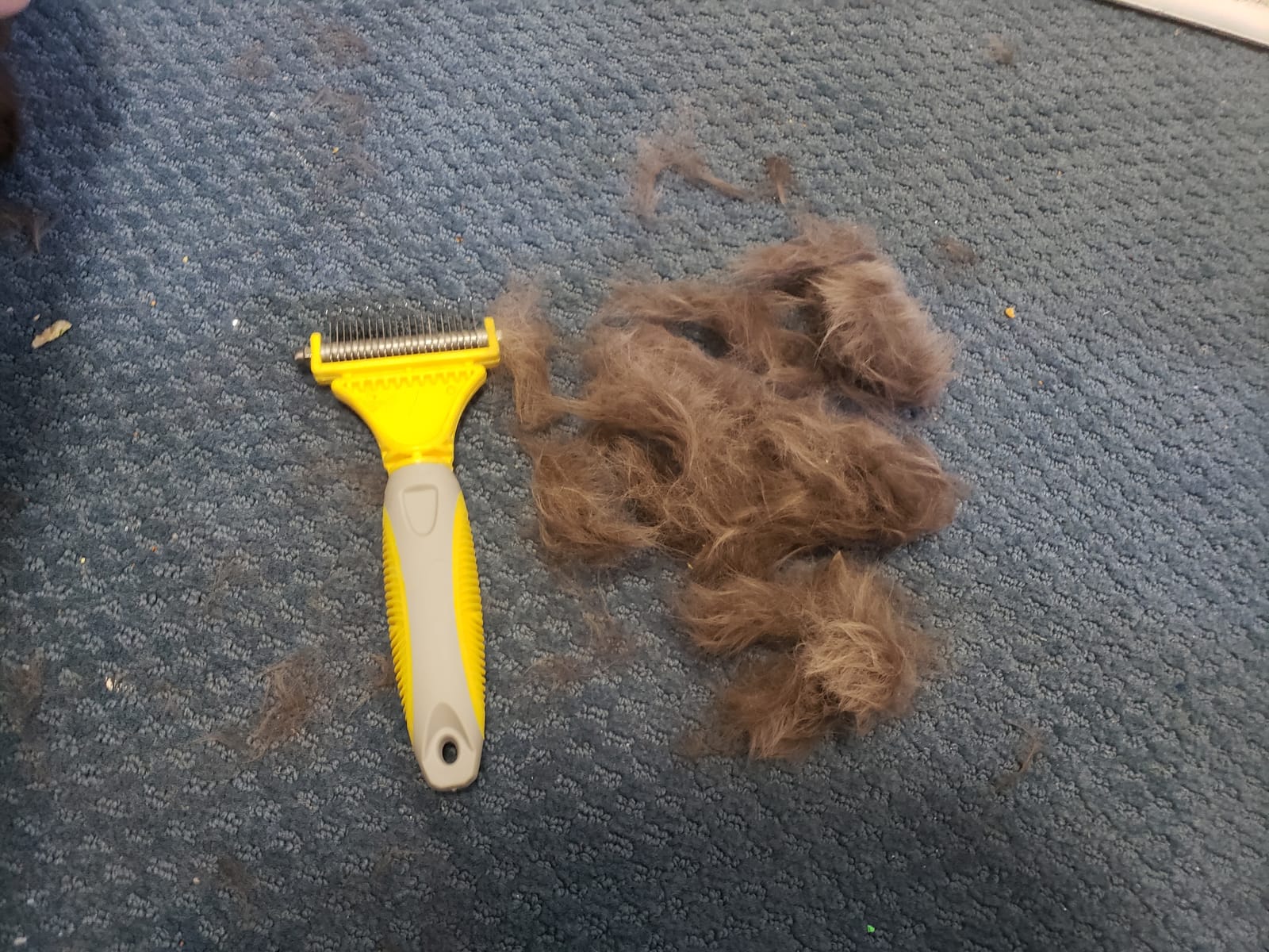 Pecute Self-Cleaning Undercoat Rake for Dogs Cats with Long/Double Coats customer photo 2