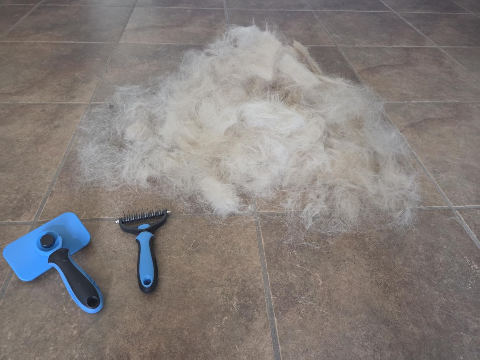 Professional 7 in 1 Pet Grooming kit I Dog Brush & Cat Brush I Dog&Cat Comb I Dog&Cat Nail Clipper/Trimmers with Nail File I Dog Bath Brush I Dog&Cat Flea Comb I Pet Supplies(Deep Blue) customer photo 1