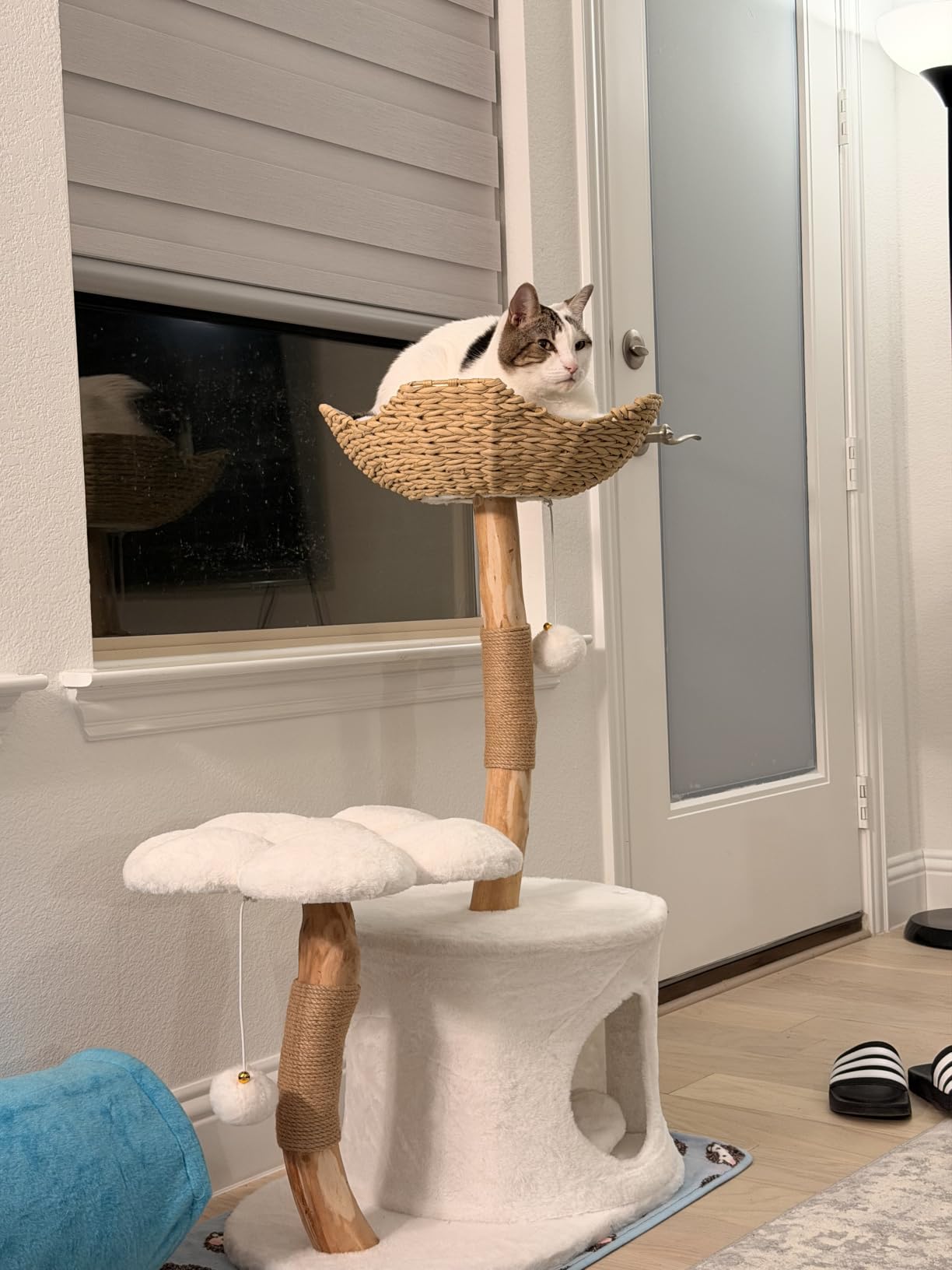 Easyego Modern Cat Tree, 26.3