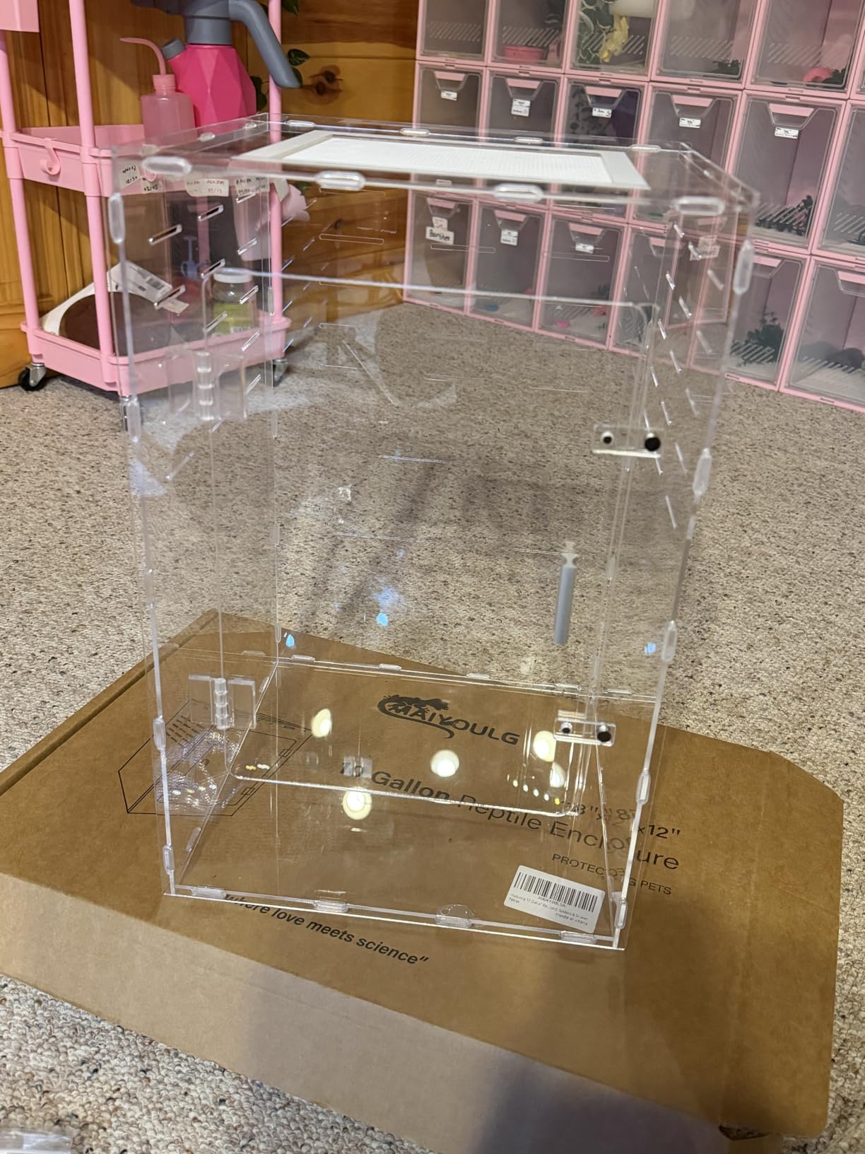 12x12x18 Black PVC Reptile Enclosure, Front Opening Tank with Screen Top customer photo 1