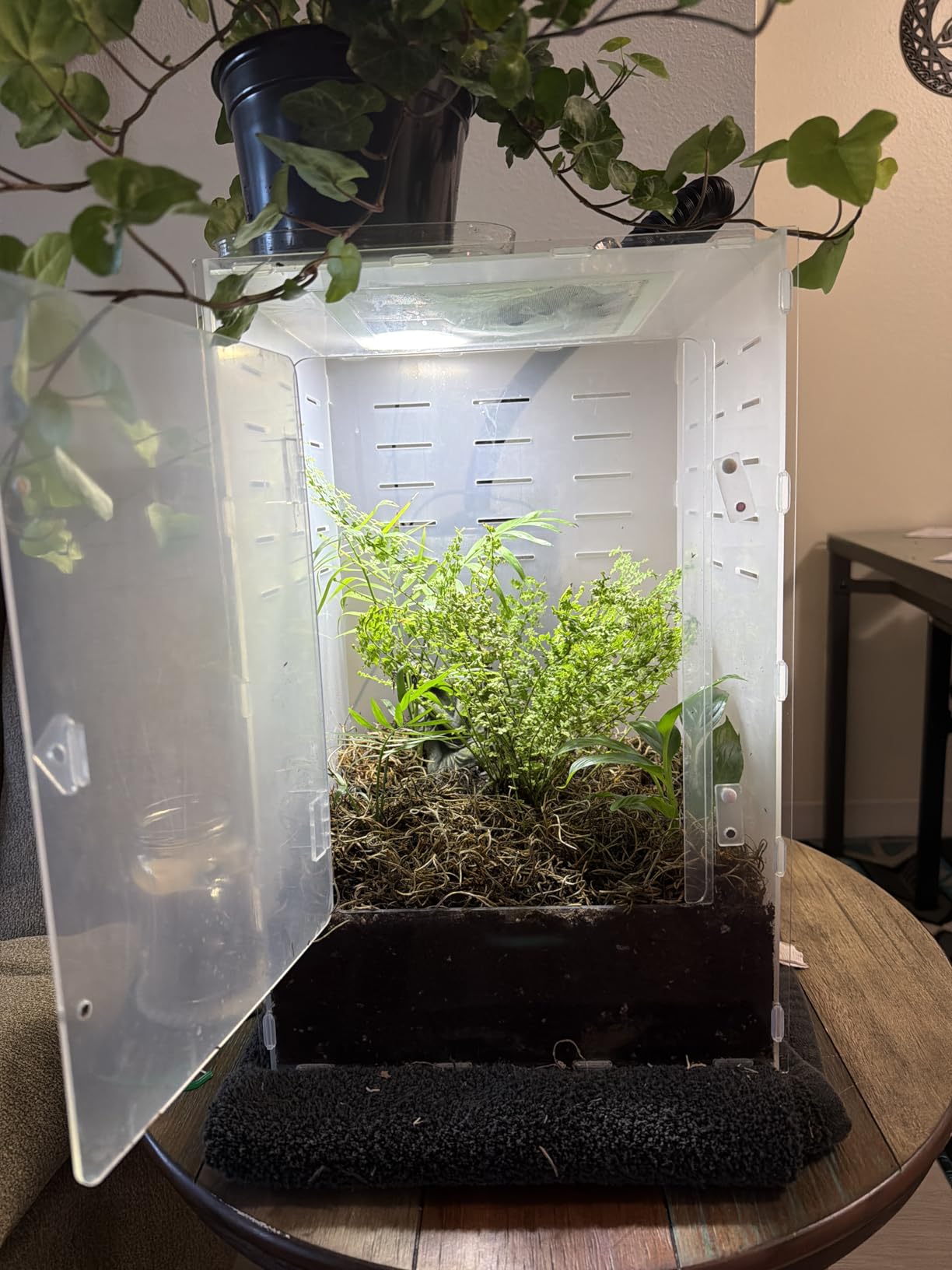 12x12x18 Black PVC Reptile Enclosure, Front Opening Tank with Screen Top customer photo 2
